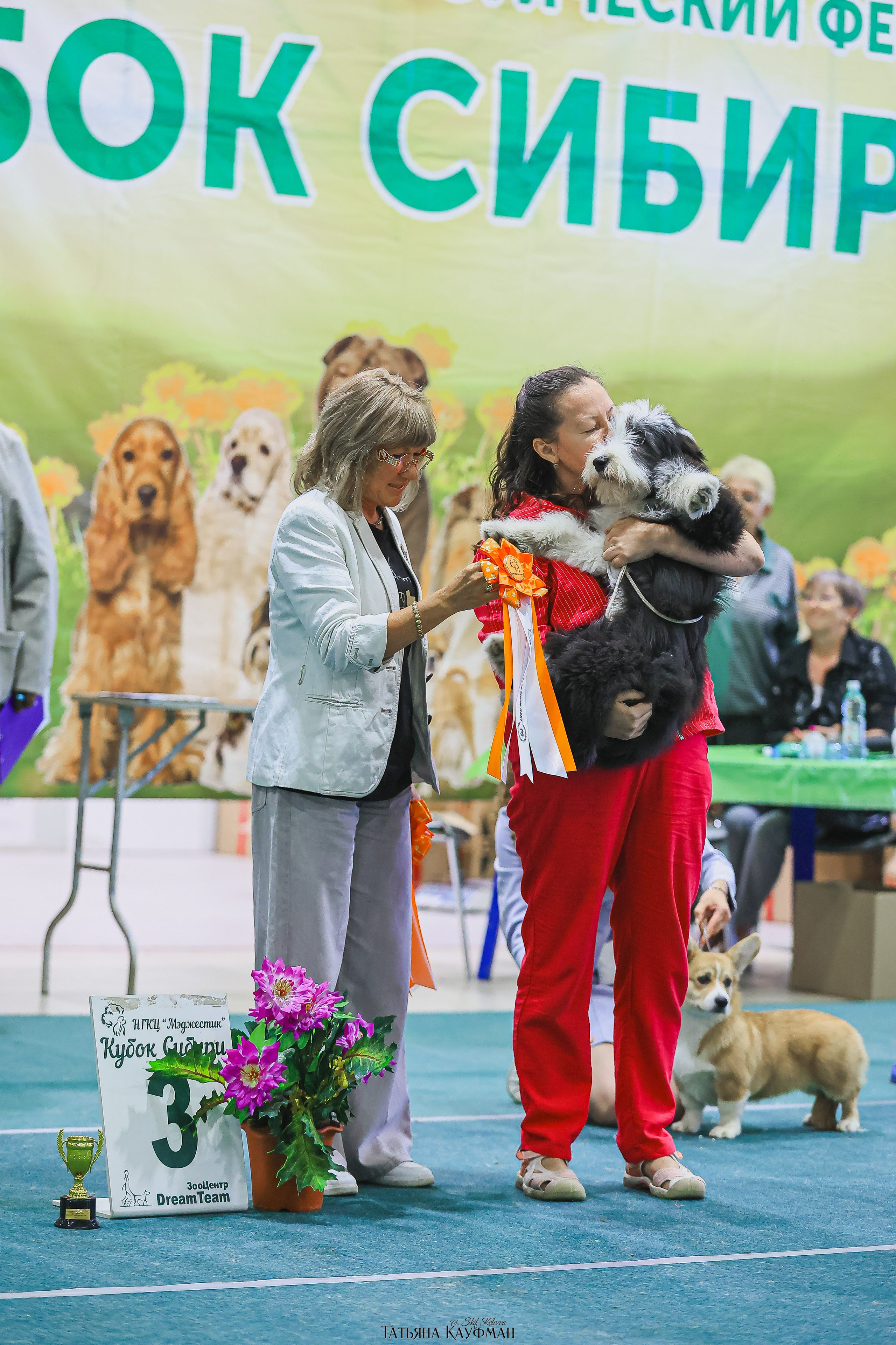 13.07.25 2х выставки собак. Новосибирск. «Кубок Сибири»