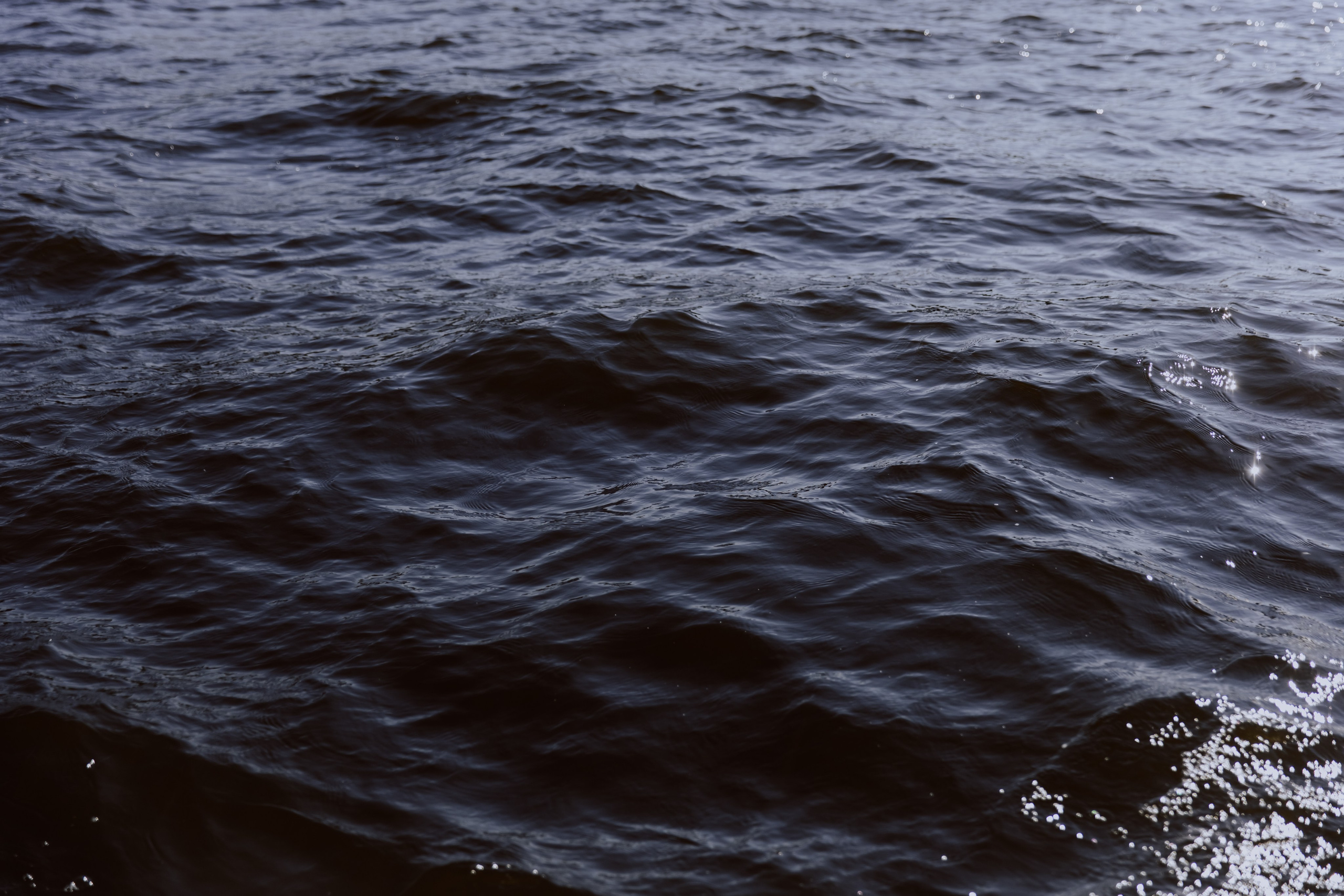 WEDDING. Фотограф, который снимает любовь в Санкт-Петербурге и Череповце