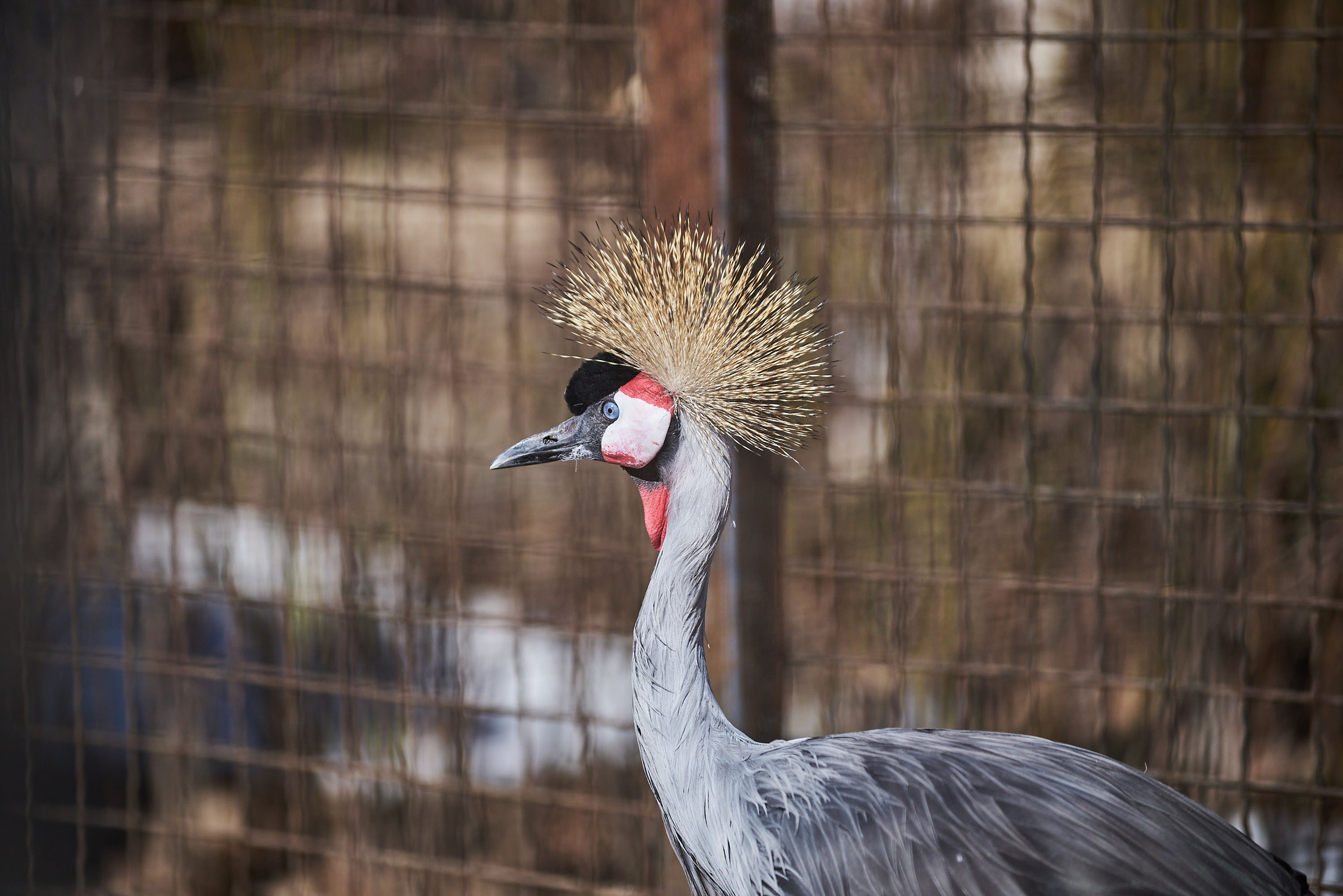 Зоопарк Иваново. Фотограф в Иваново: Каталожная съемка одежды и постельного белья, Wildberries