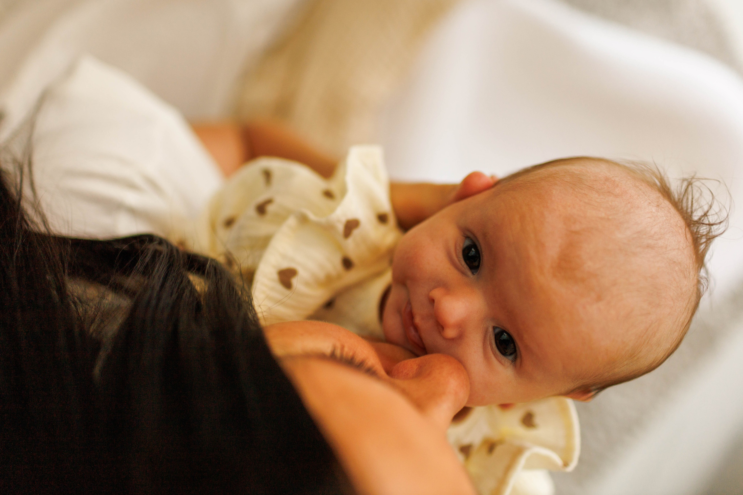 Под Новый год. Детский и семейный фотограф в Твери Ольга Крестьянинова