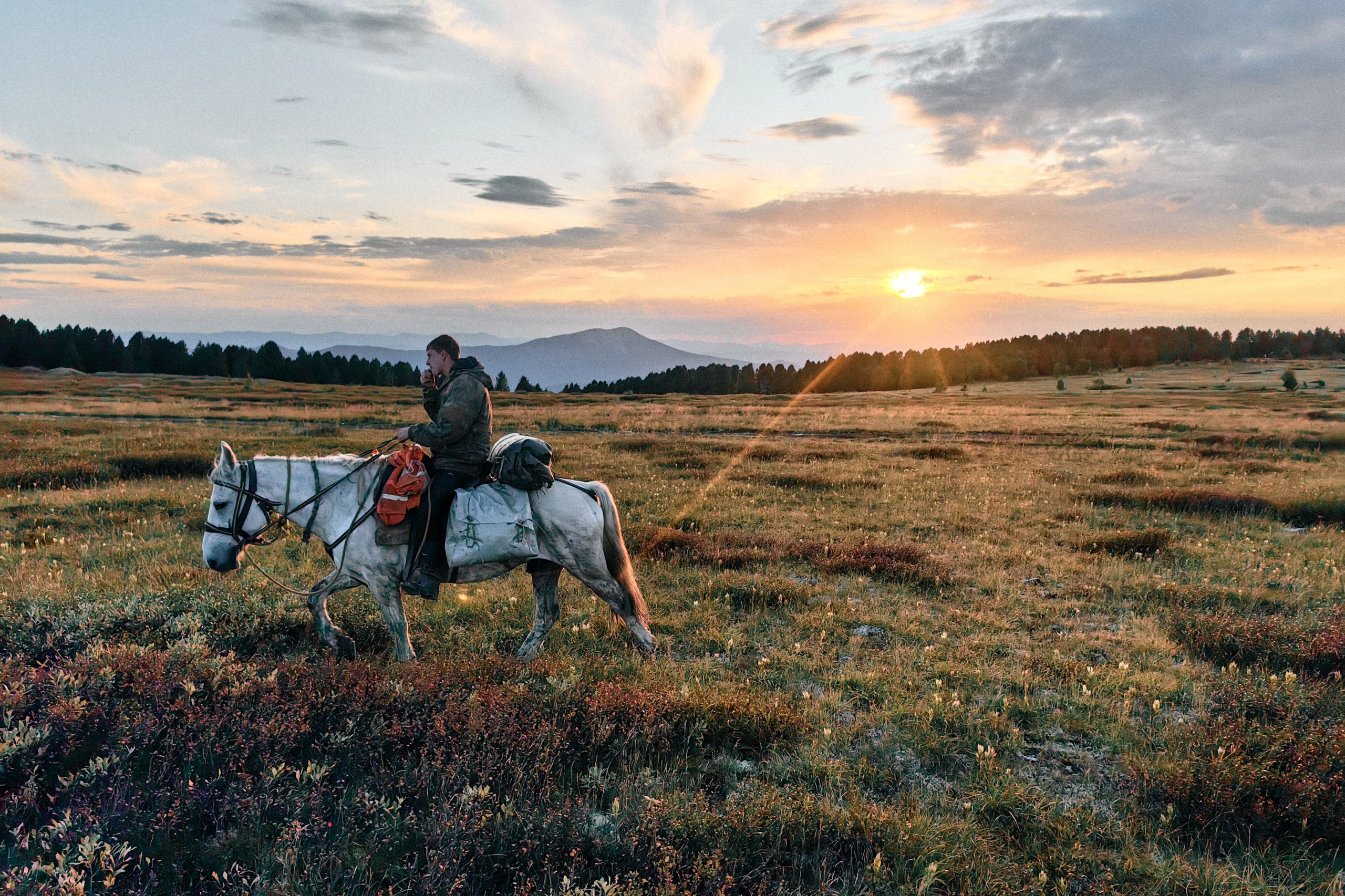 Главная. Юрий Березнюк. Фотограф в Новороссийске. Фотожурналистика