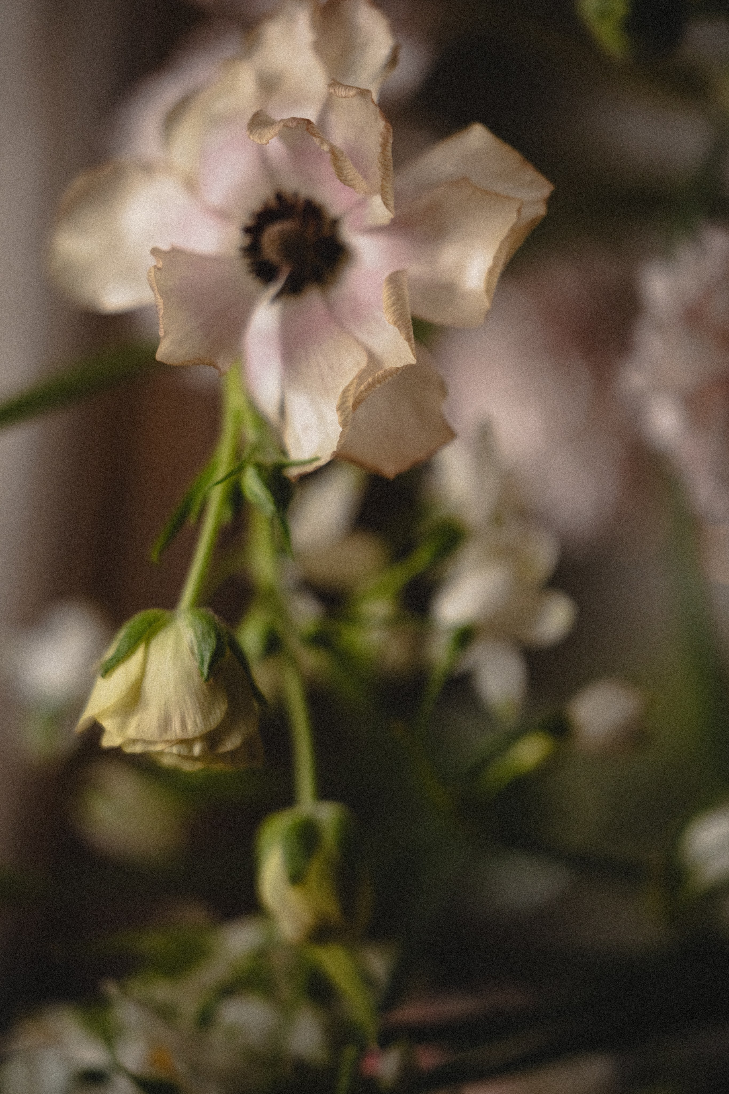 Свадебный и семейный фотограф и видеограф в Крыму | Алёна Межевова