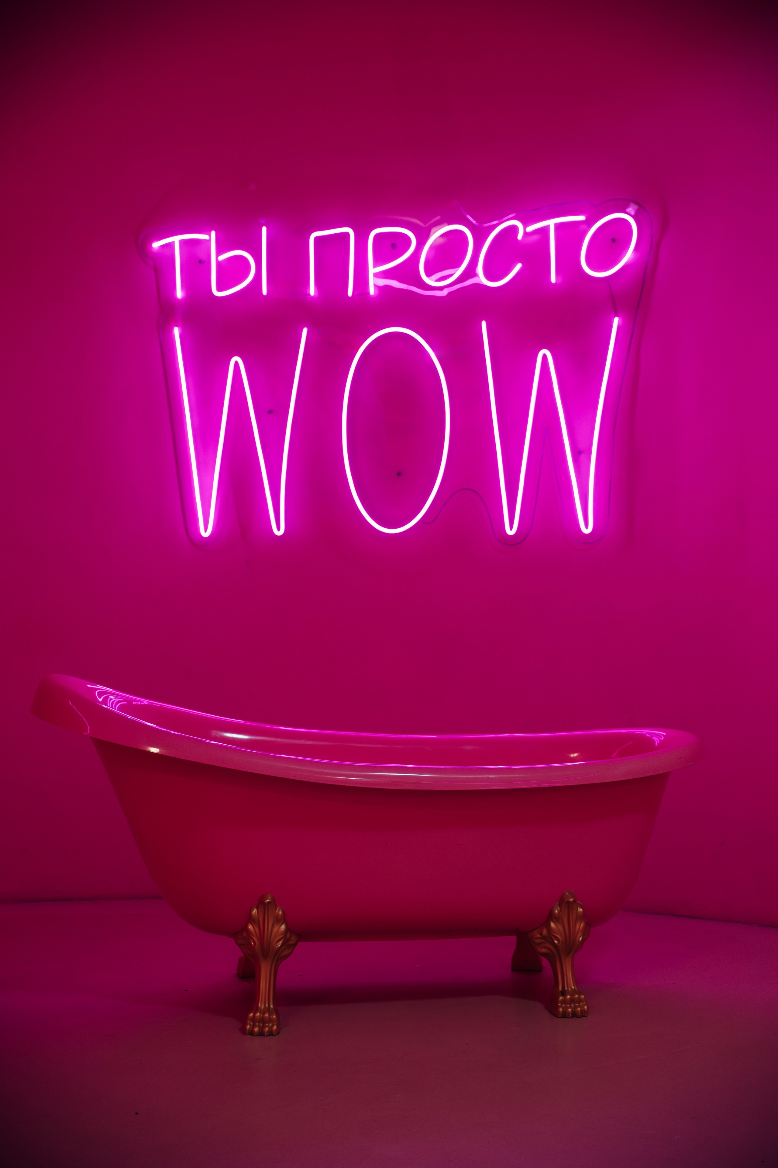 Mr. Flamingo (лето). Аренда лофта в СПб для мероприятий