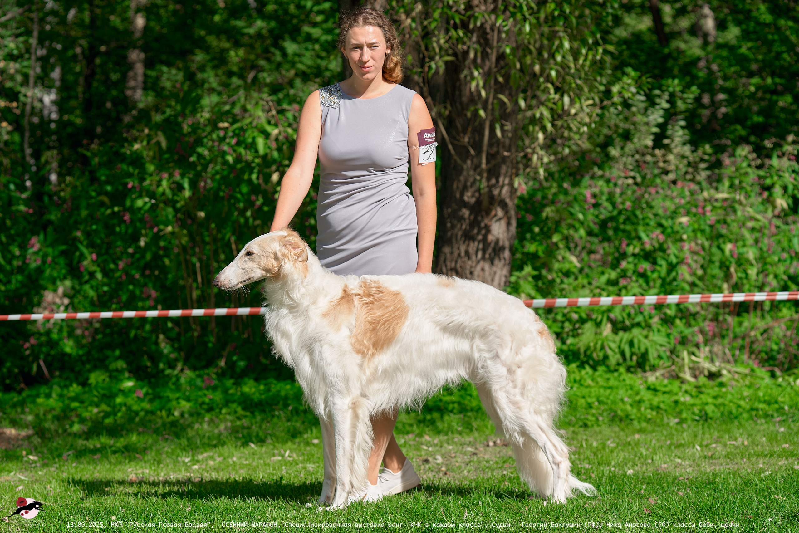 ОСЕННИЙ МАРАФОН | Специализированная выставка породы Русская Псовая Борзая ранг "КЧК в каждом классе"