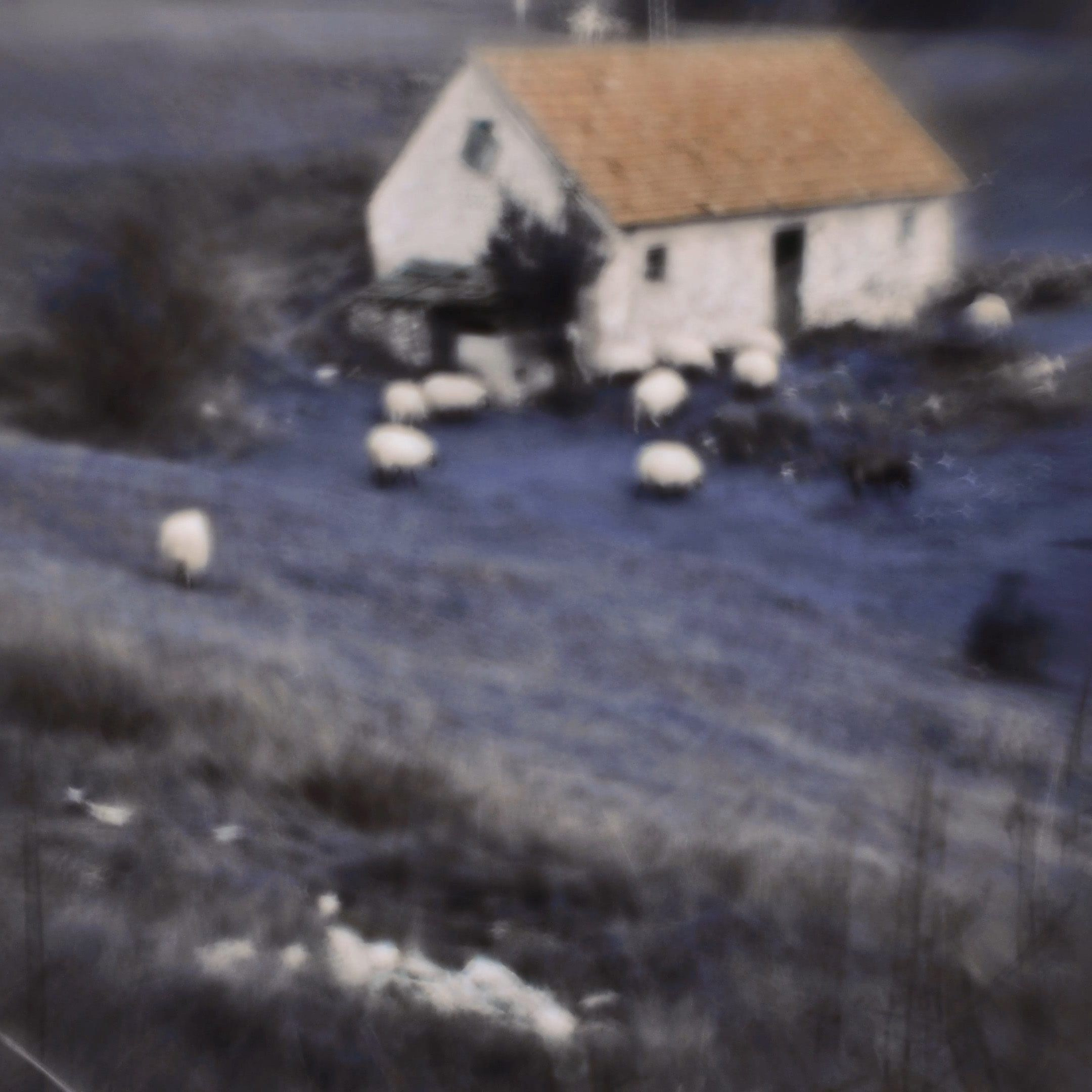 MONTENEGRO. Eduard Kopysov — International visual artist