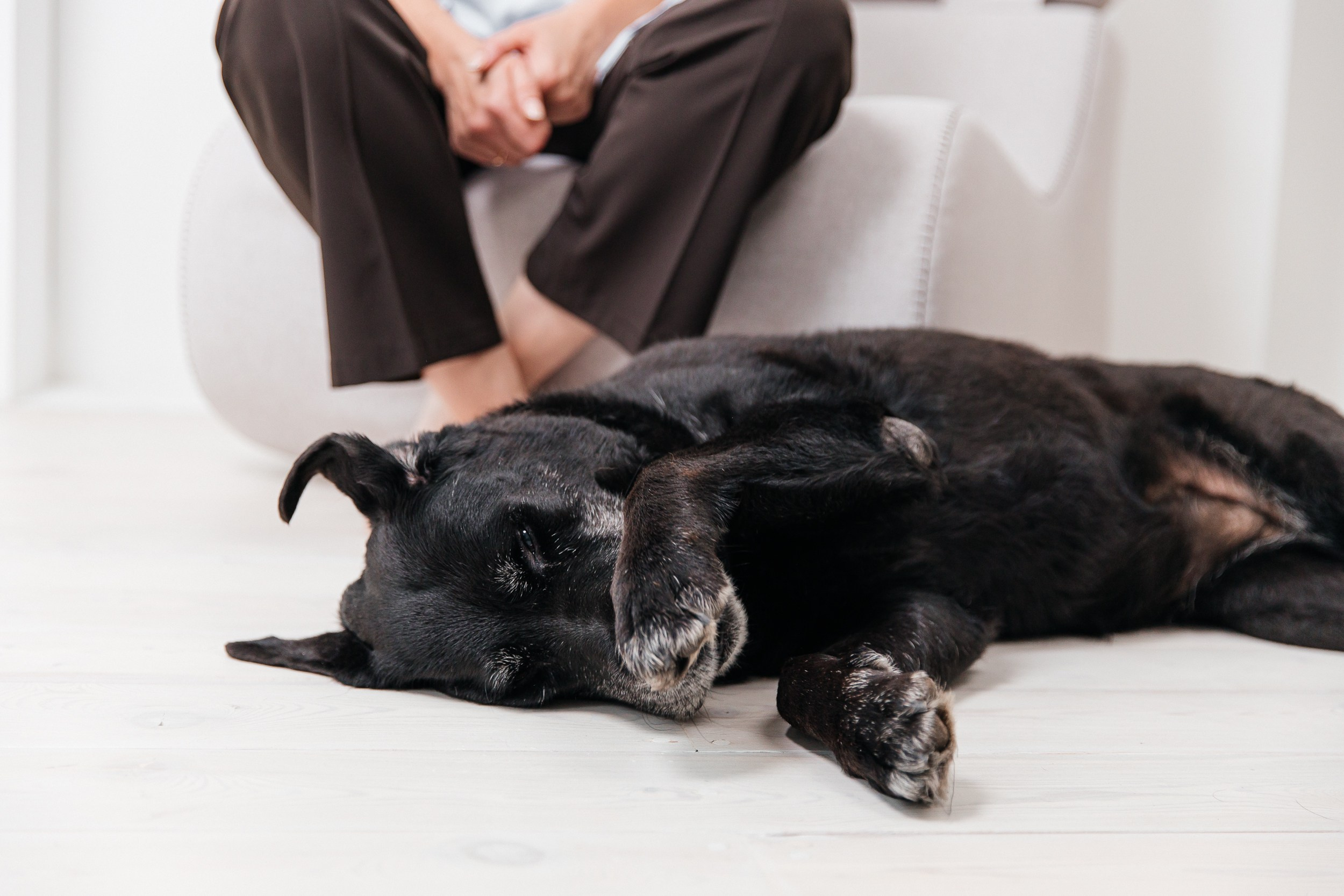 Психолог. Фотограф в Новосибирске