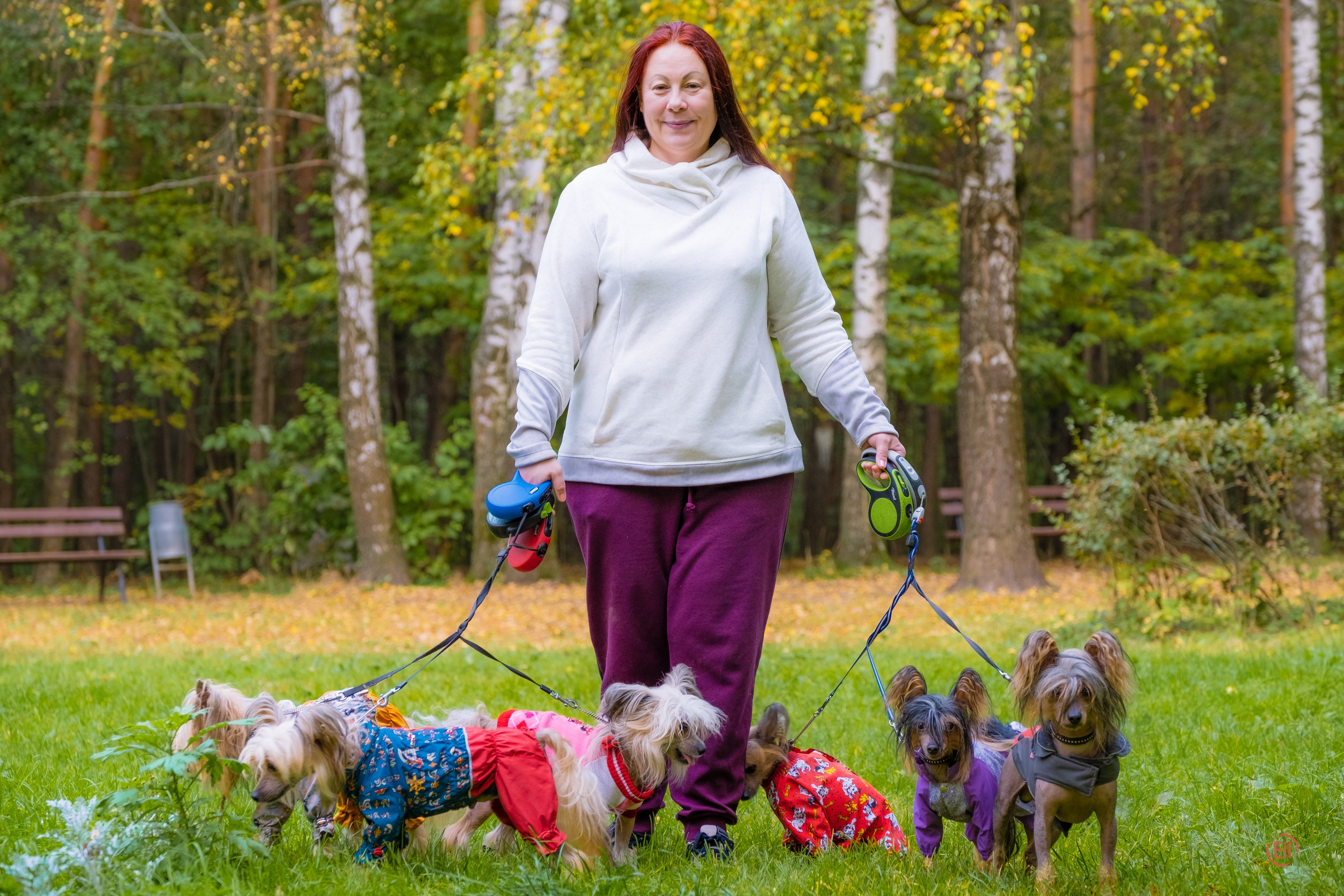 Morning walk in the park. Chinese Crested Dog Kennel Poale Ell