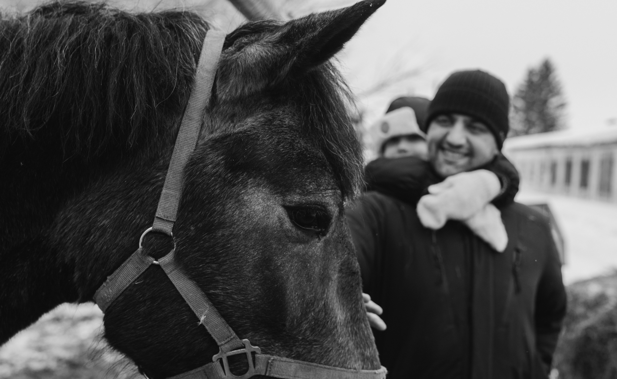 Выходной на конюшне. Семейный, ньюборн фотограф, фотограф на роды в Москве, Виктория Тюльдюкова