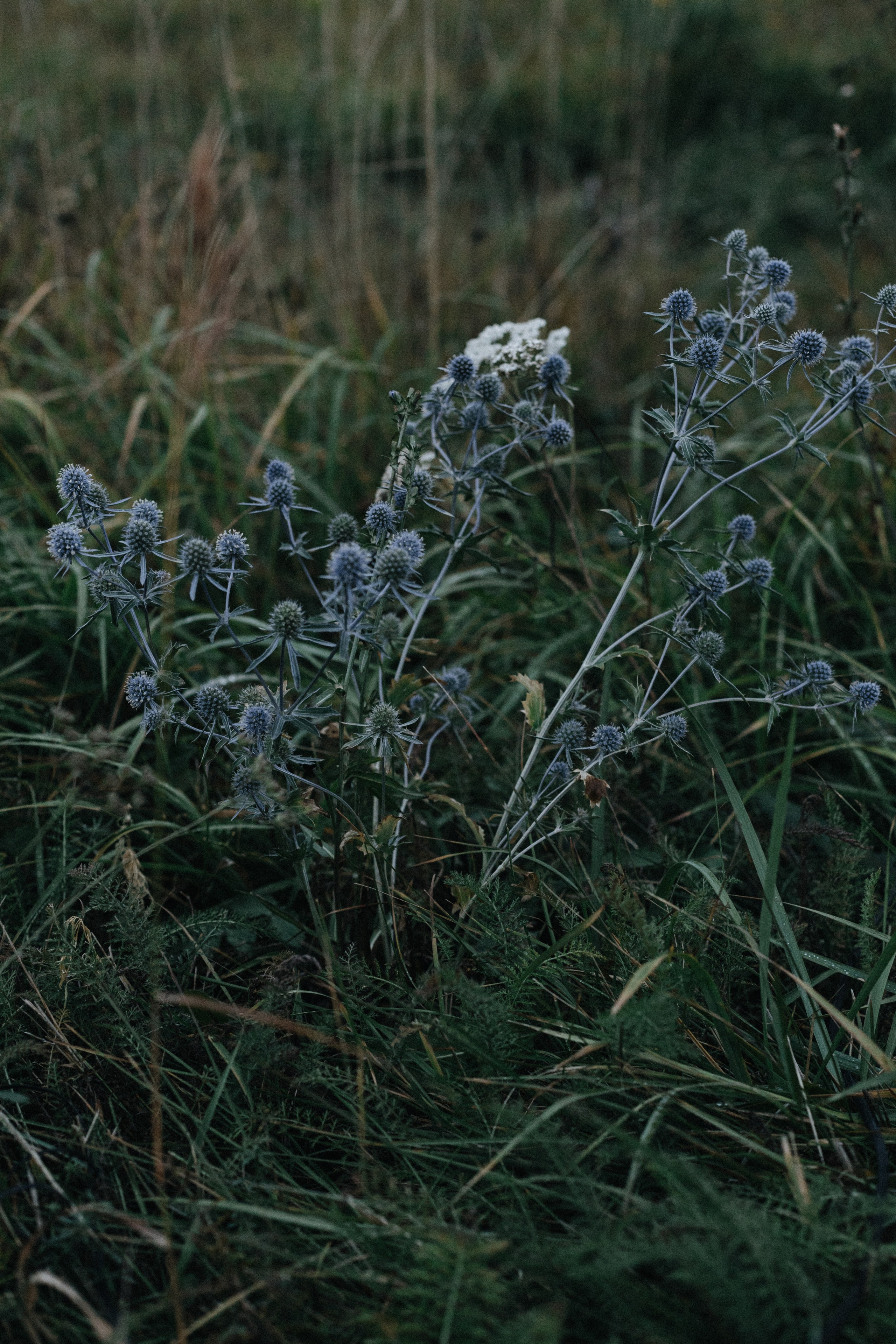 За городом. Про любовь