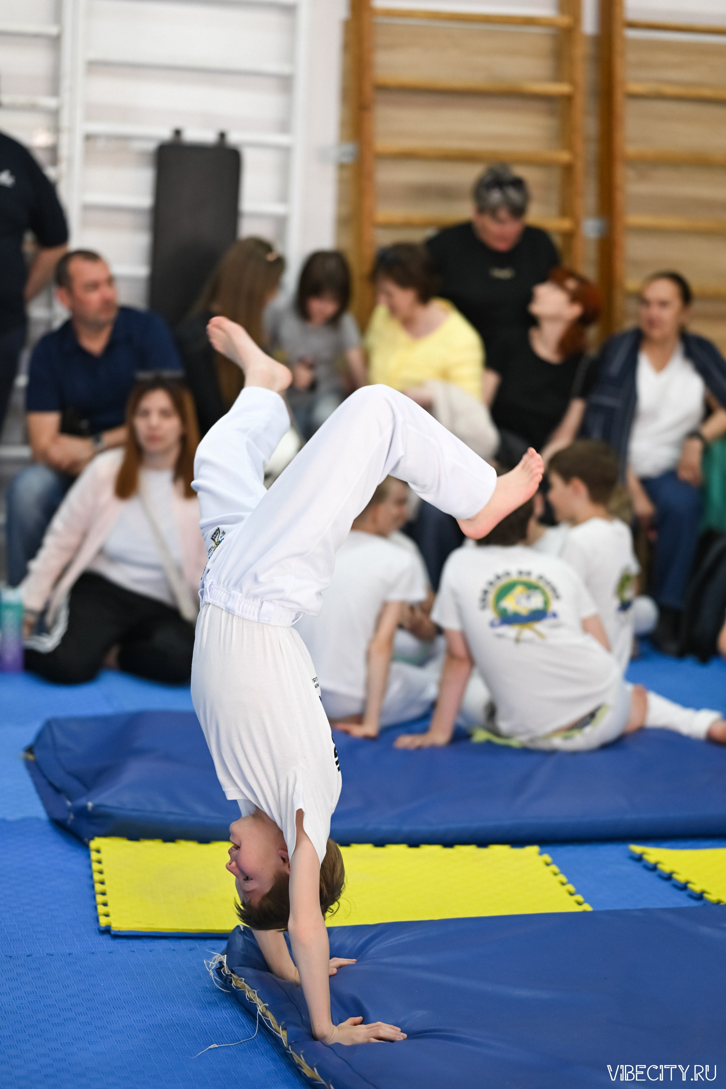 Capoeira: 4-е batizado e Troca de cordao. VIBECITY.RU Вайб Сити Ру Фоторепортажи Фотоотчеты Калининград