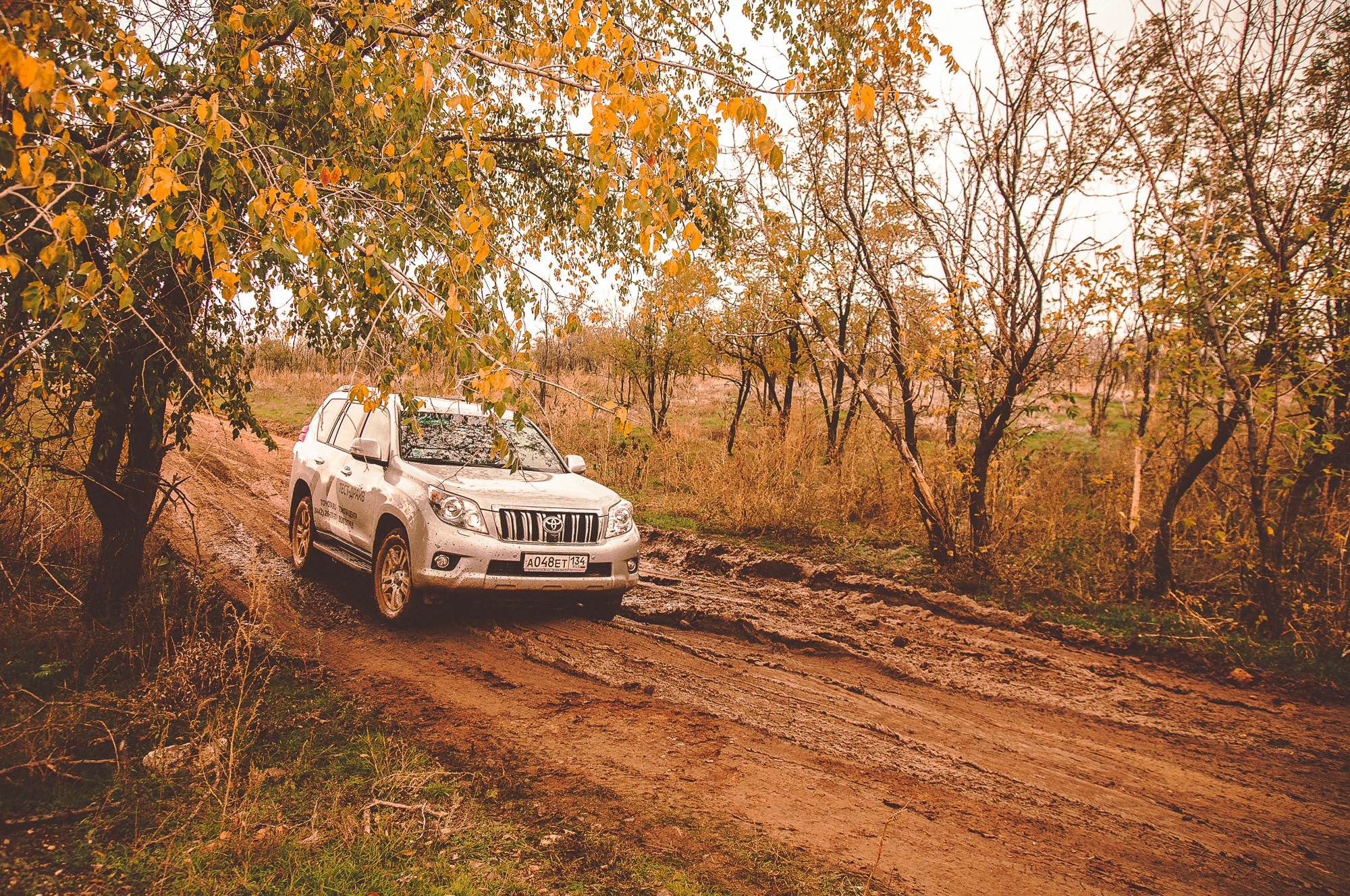 Автомобиль едет по бездорожью в осеннем лесу