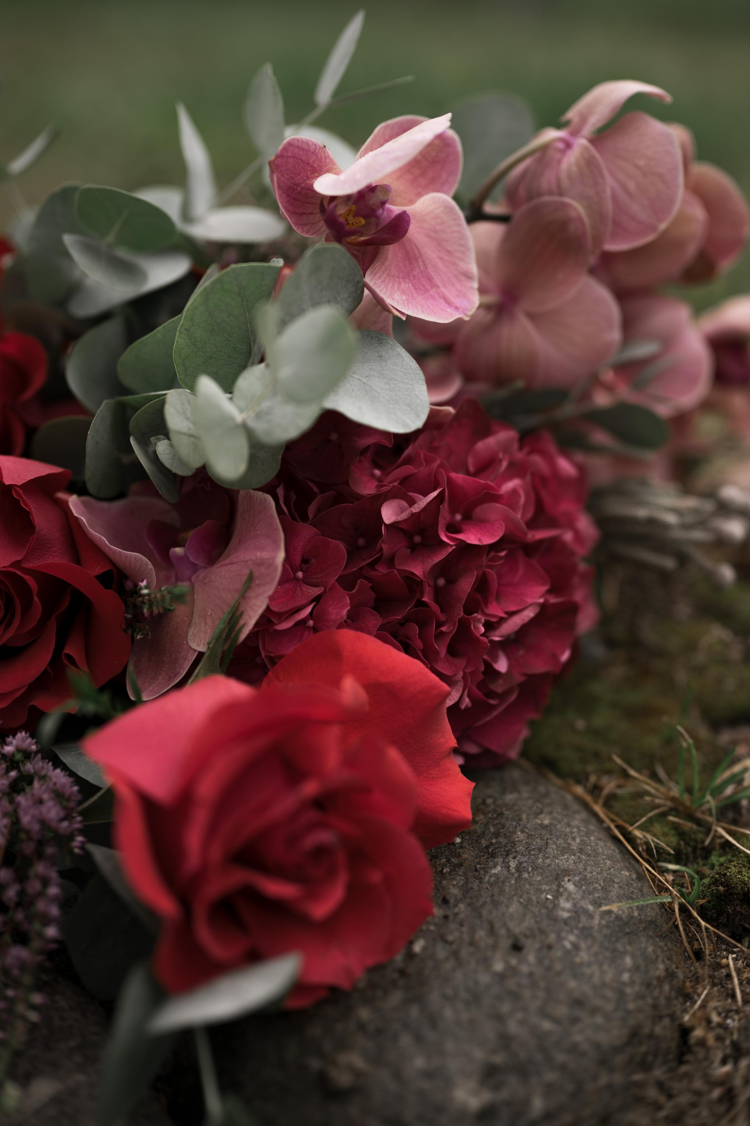 Ника и Стефан. Свадебный фотограф Йошкар-Ола Казань