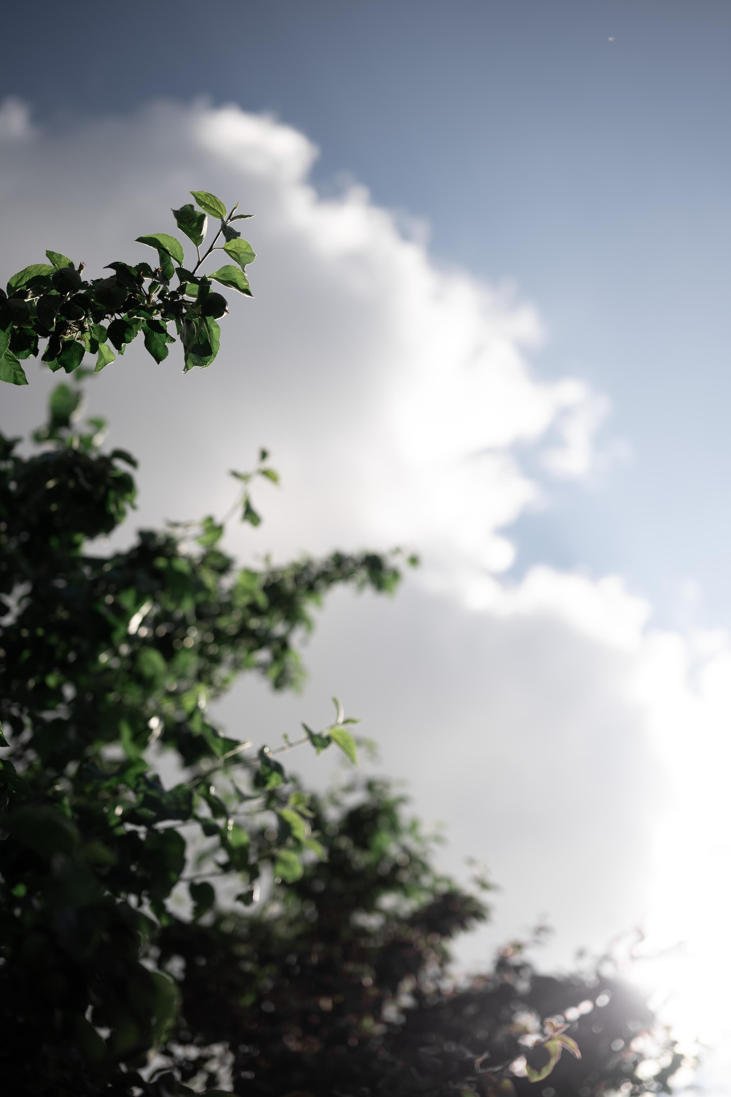 Максим и Марина. Свадебный фотограф Йошкар-Ола Казань