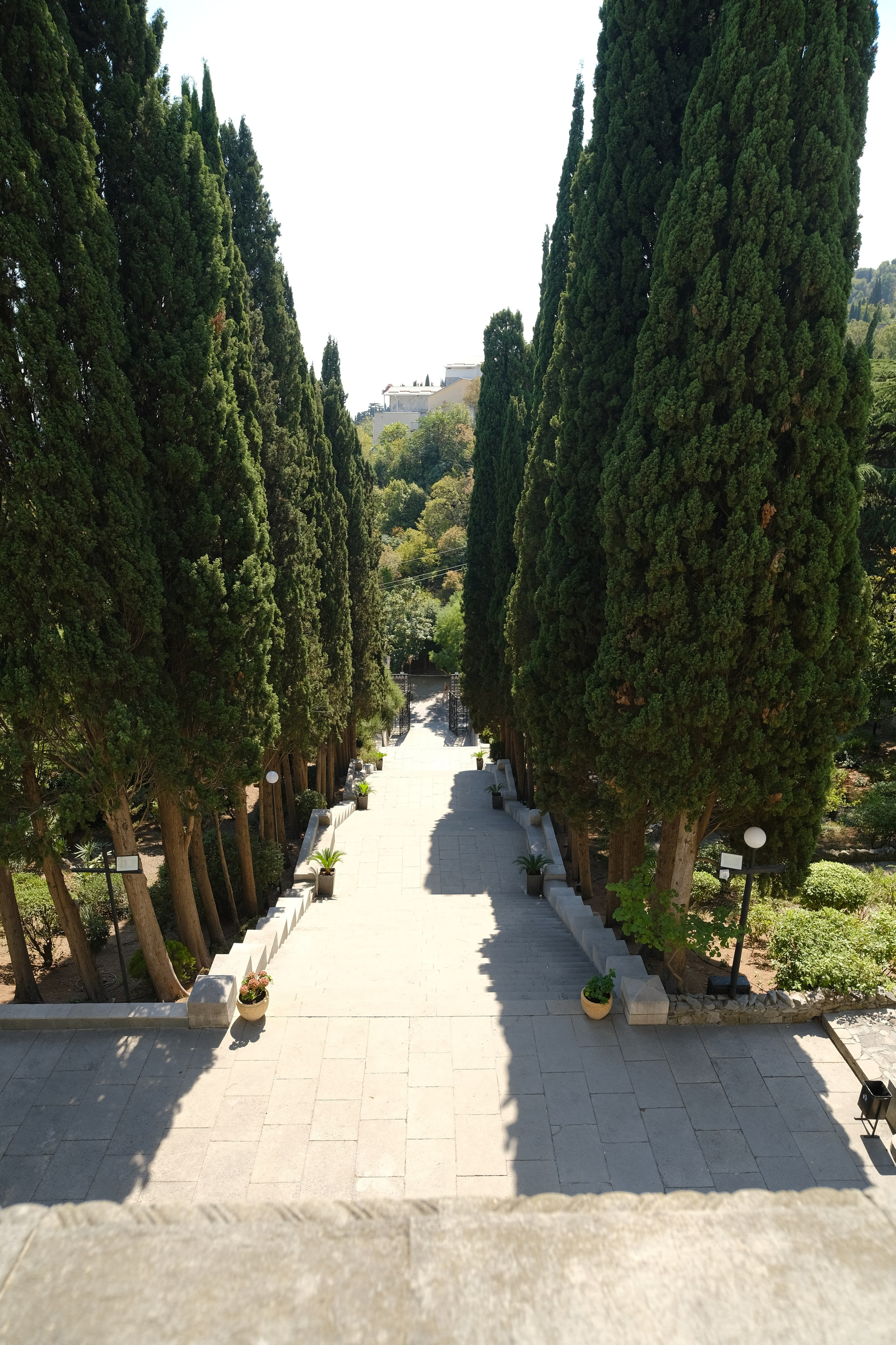 Локации для фотосессии в Ялте. Профессиональная фотосъемка в Крыму. Натуральные эмоции и живые кадры. Забронируйте дату прямо сейчас!