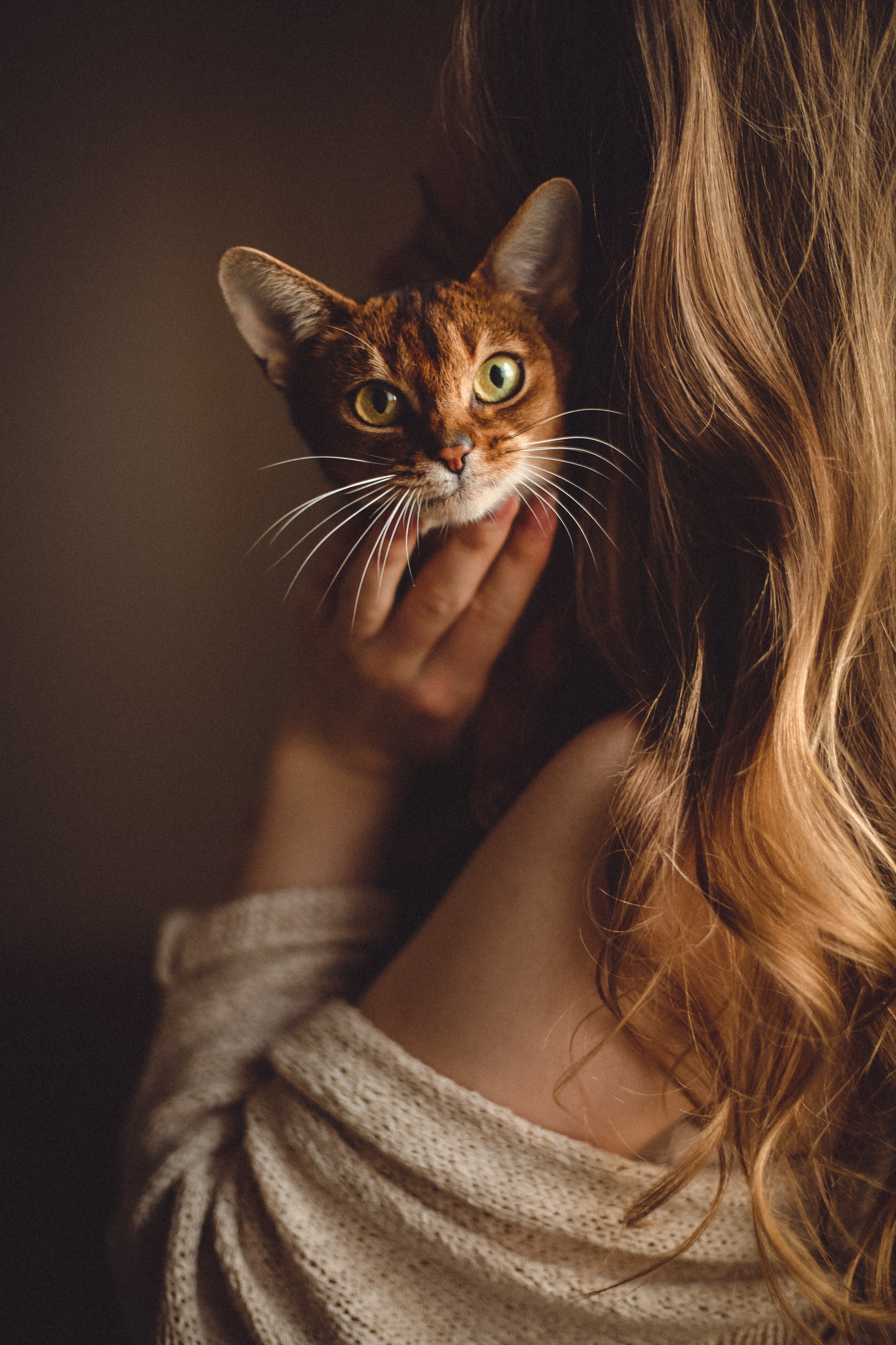 Андрей, Алеся и Лёвушка. Семейный фотограф в Москве и Люберцах Юлия Гуськова