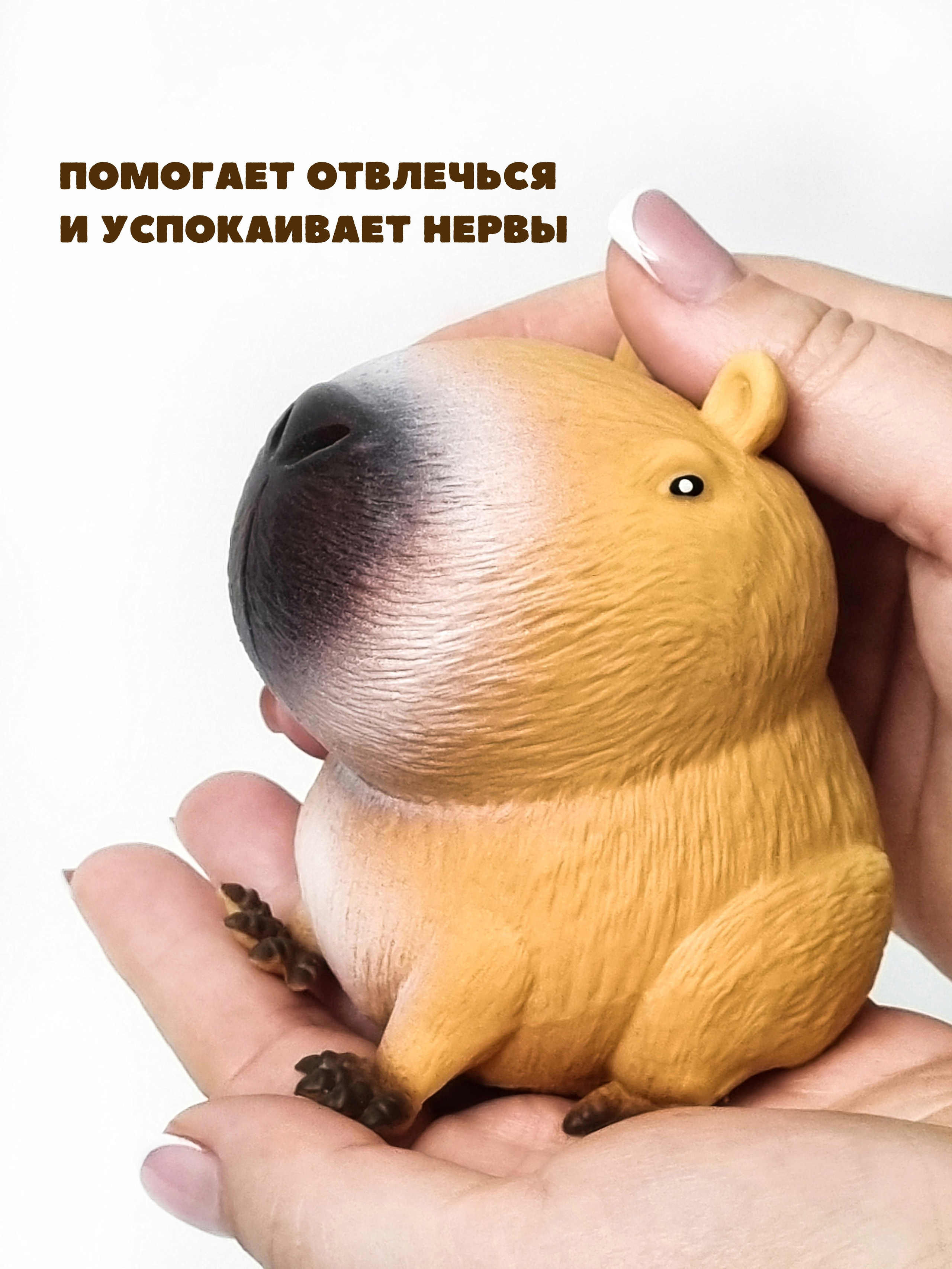 СКВИШИ антистресс. Женский, семейный и контент-фотограф в Оренбурге Анна Соловых