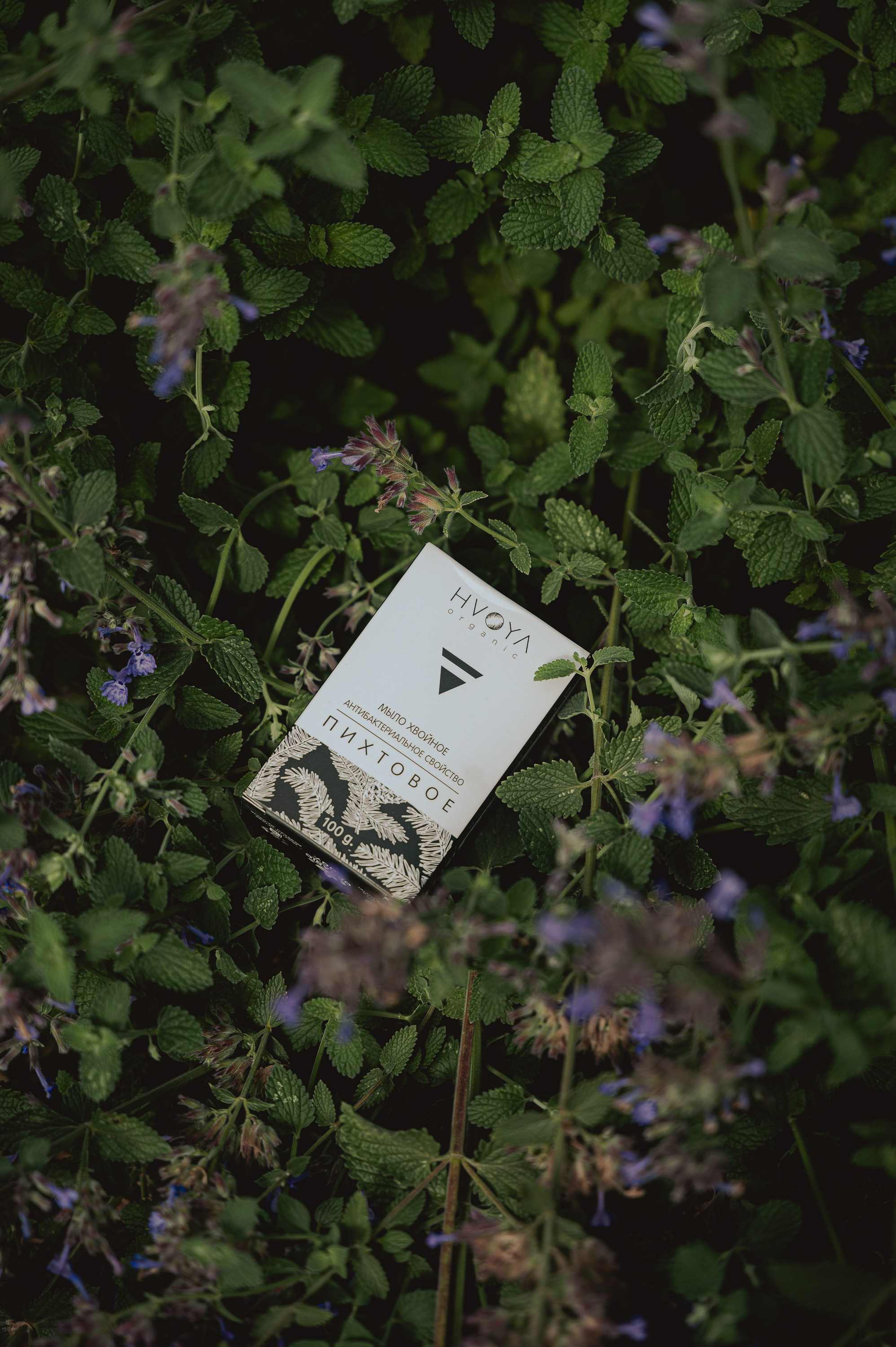 Контент съемка. Фотограф Тюмень Валерий Некрасов