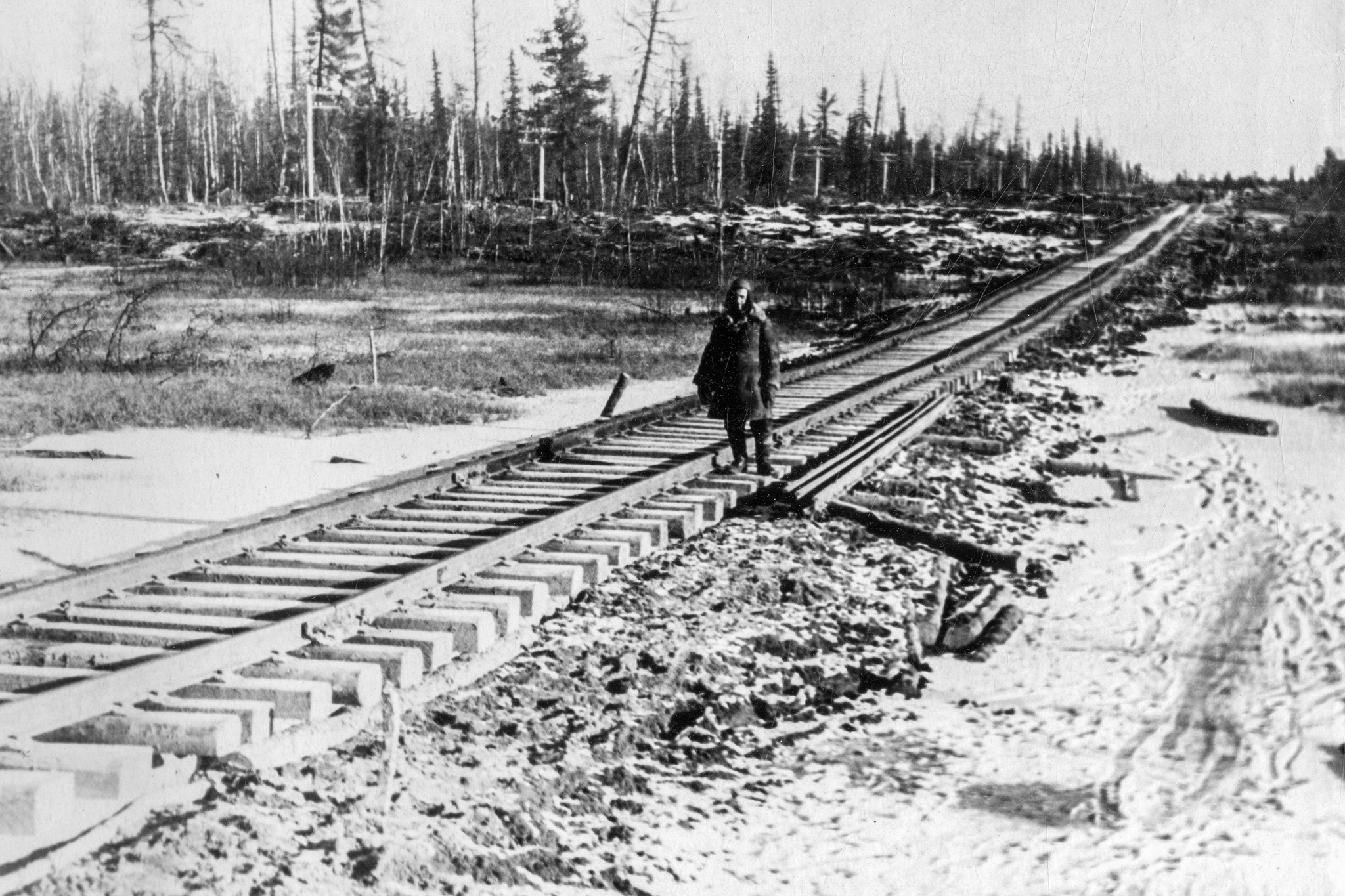 Мертвая Дорога / 2020 — в процессе. Главная