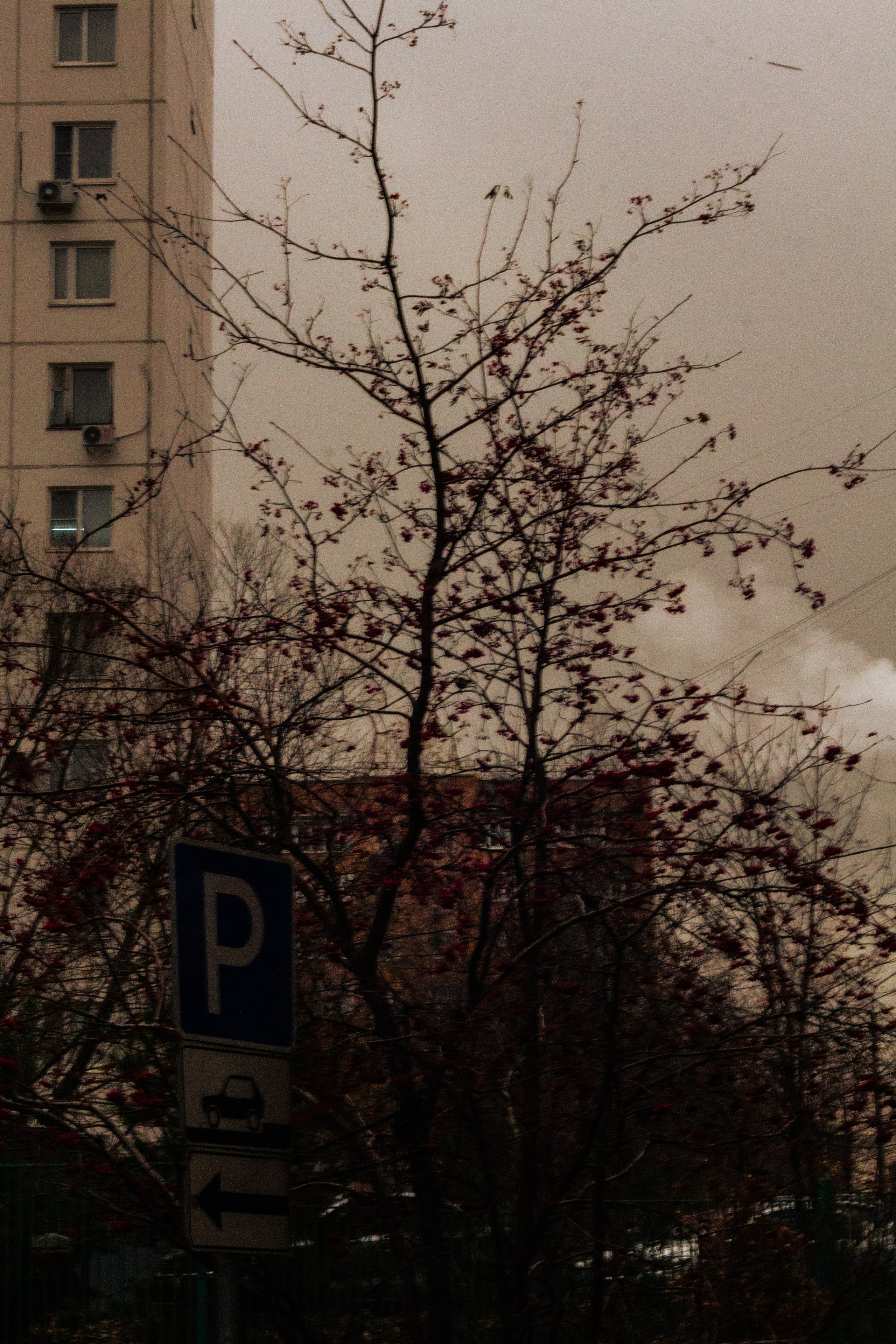 Осень в Москве. Фотограф Москва, портрет, стрит, репортаж. Художественная фотосессия