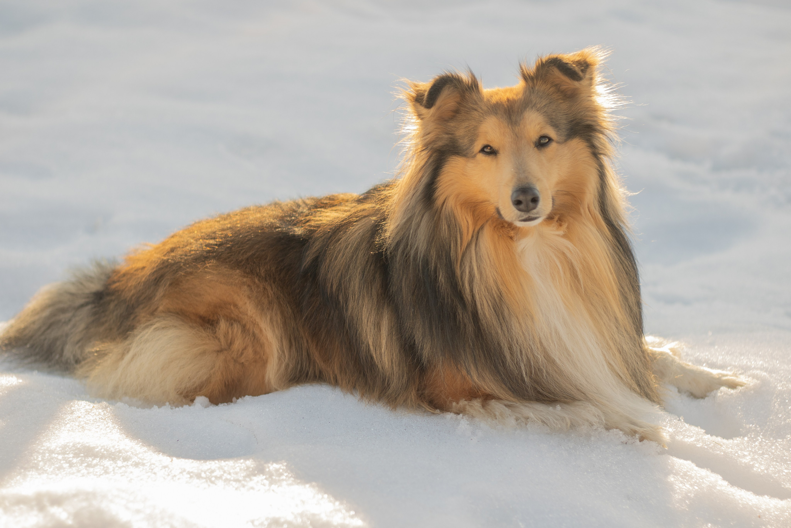 Катя Попова|ЛайфСтайл фотограф