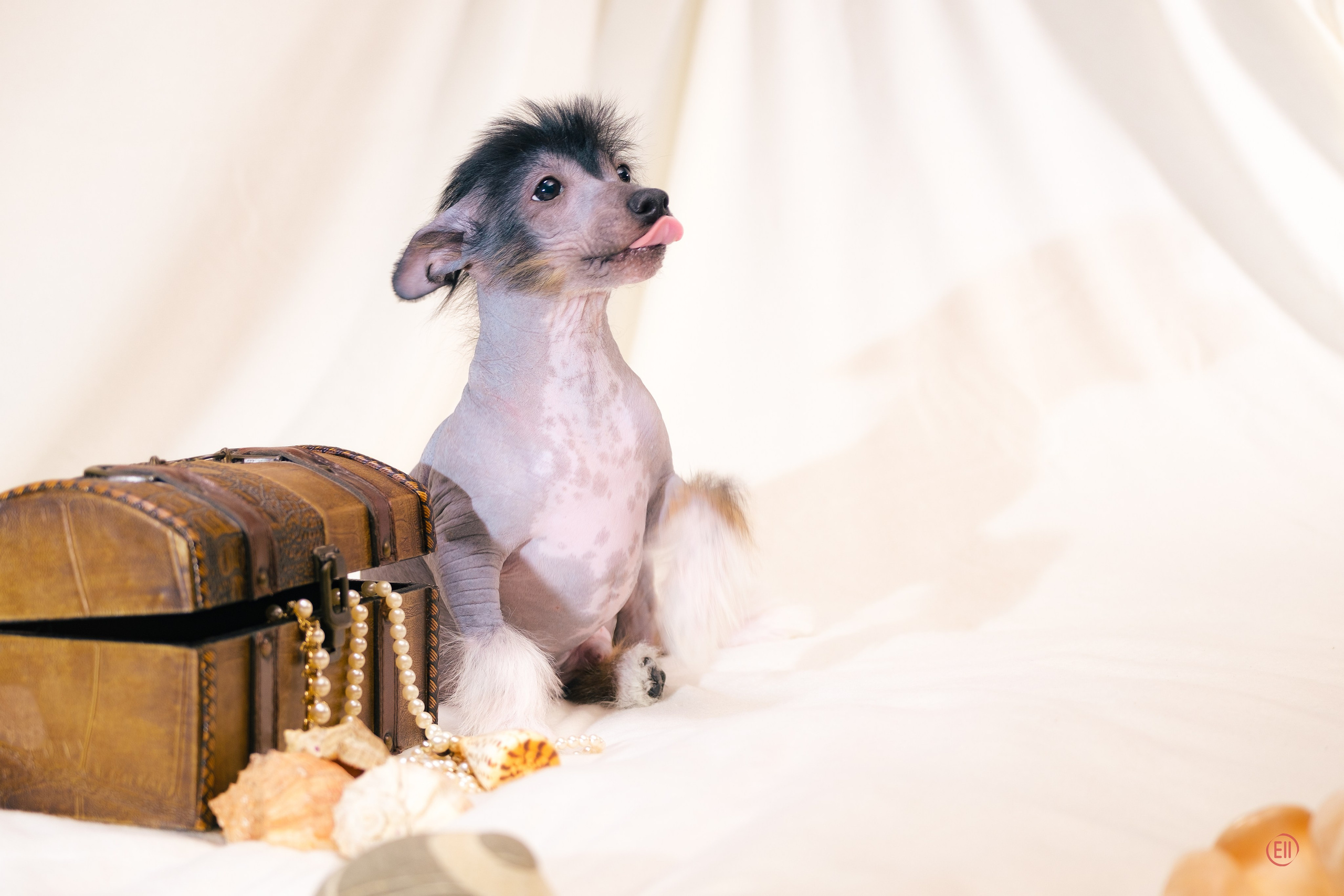 Vik - the second photo session in life