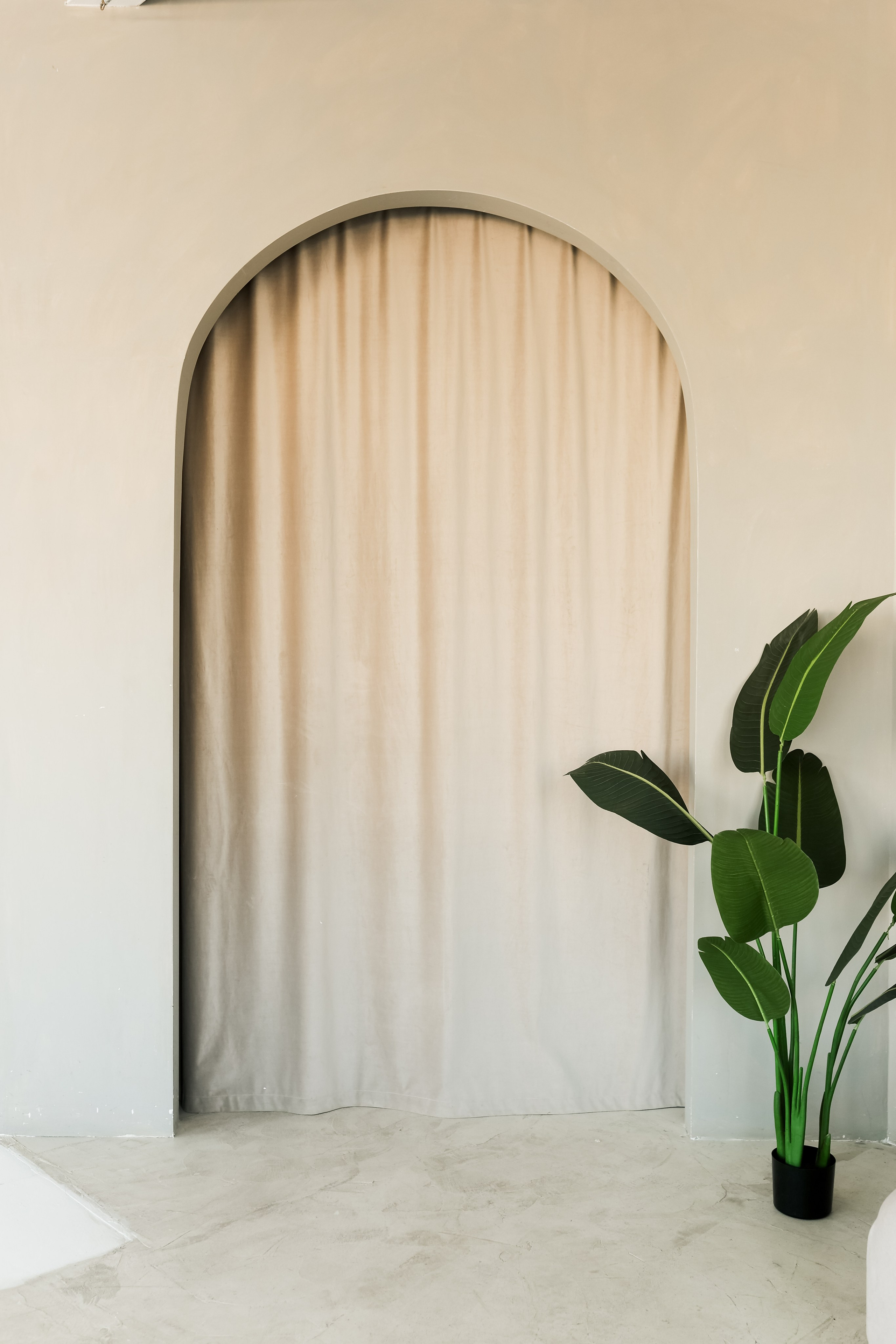 Циклорама. Фотостудия Фотодом. Якутск