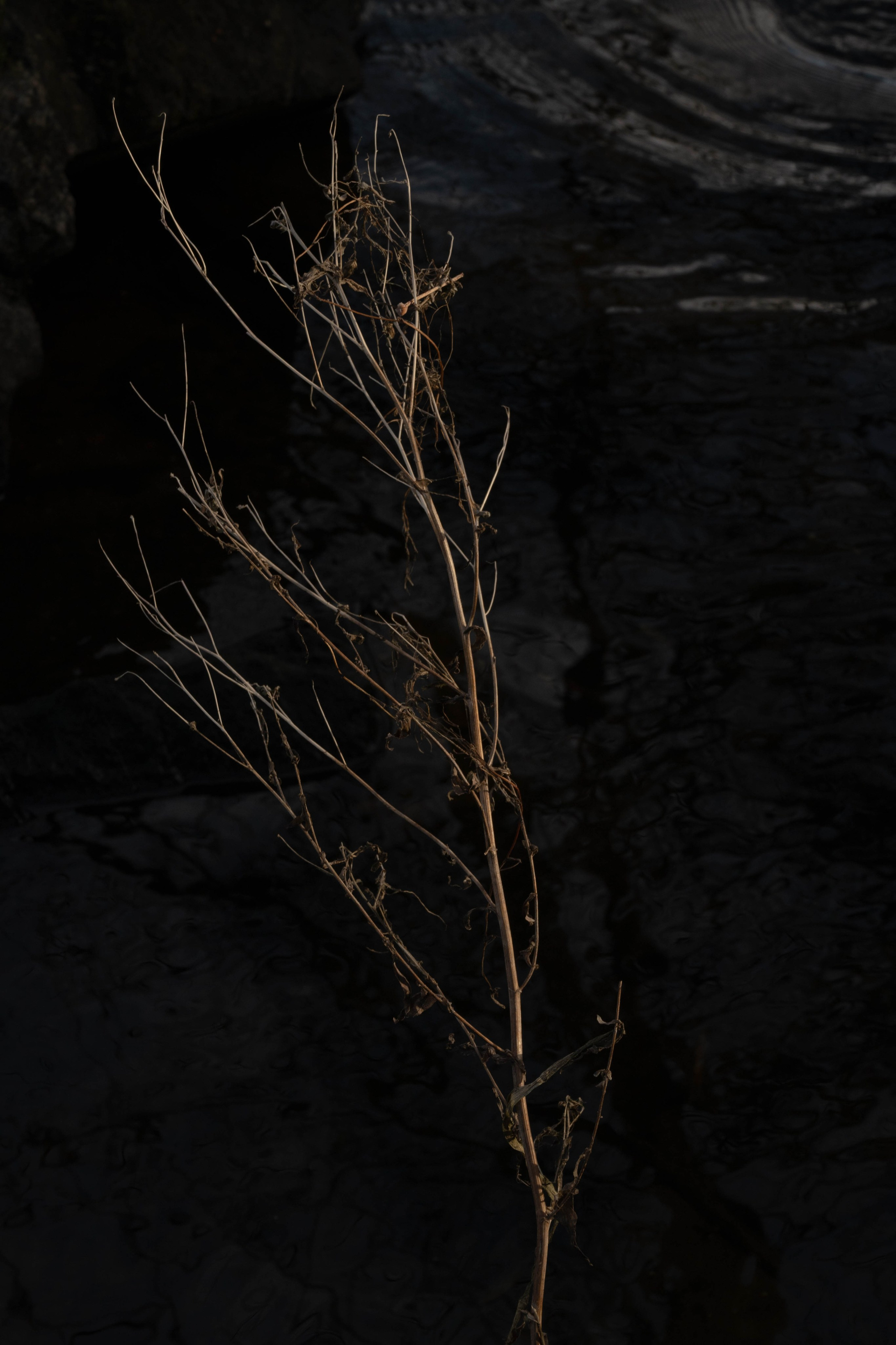 It was quietly sunny in shchukino. Shyjungle's Portfolio