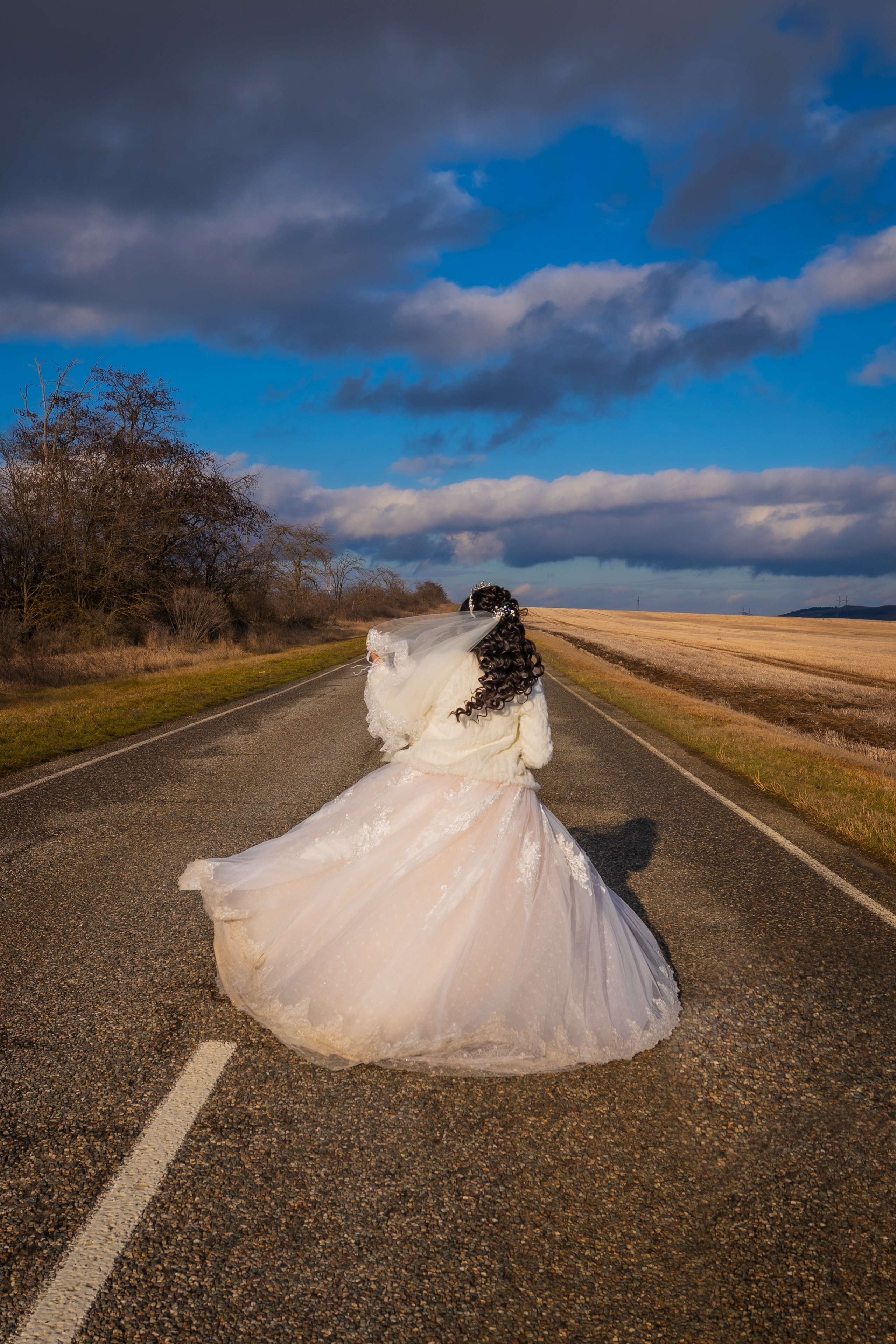 Свадьба Роман & Снежана. Фотограф и видеограф в Ставрополе Инна Попова