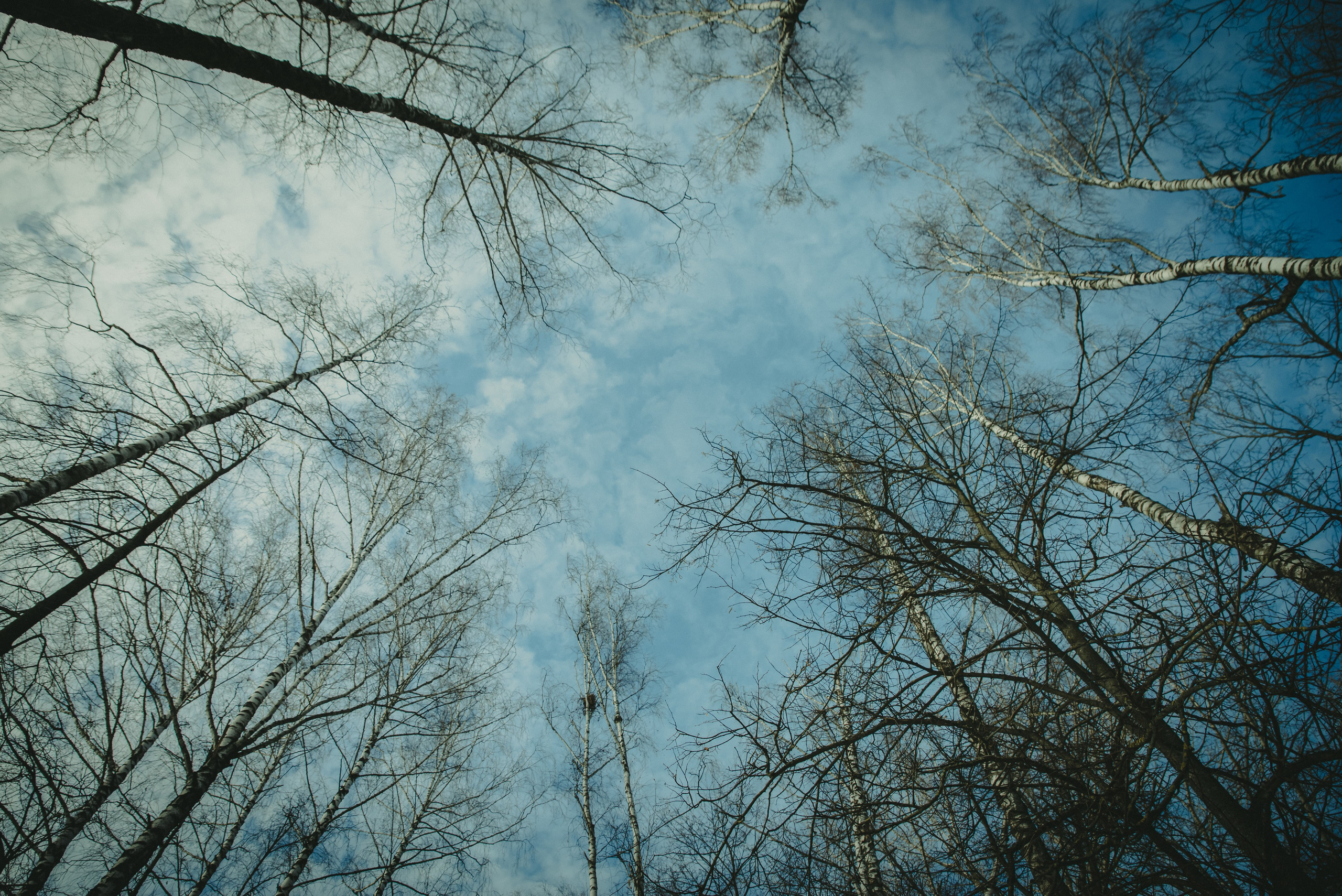 Уэнздей. Фотограф Крещение Венчание Москва