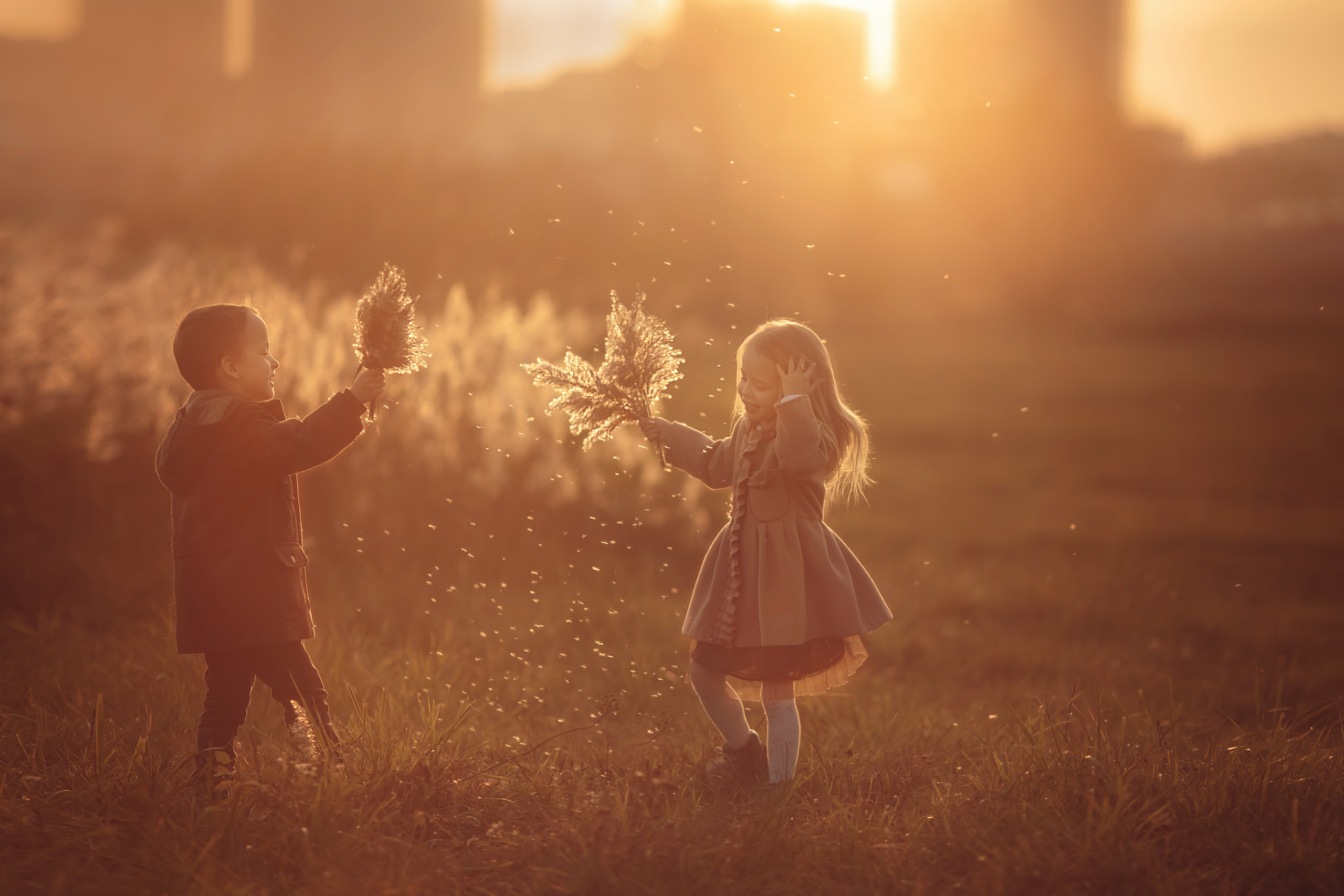 Услуги. Фотограф беременности и семейный фотограф в Могилеве, Минске Елена Шин