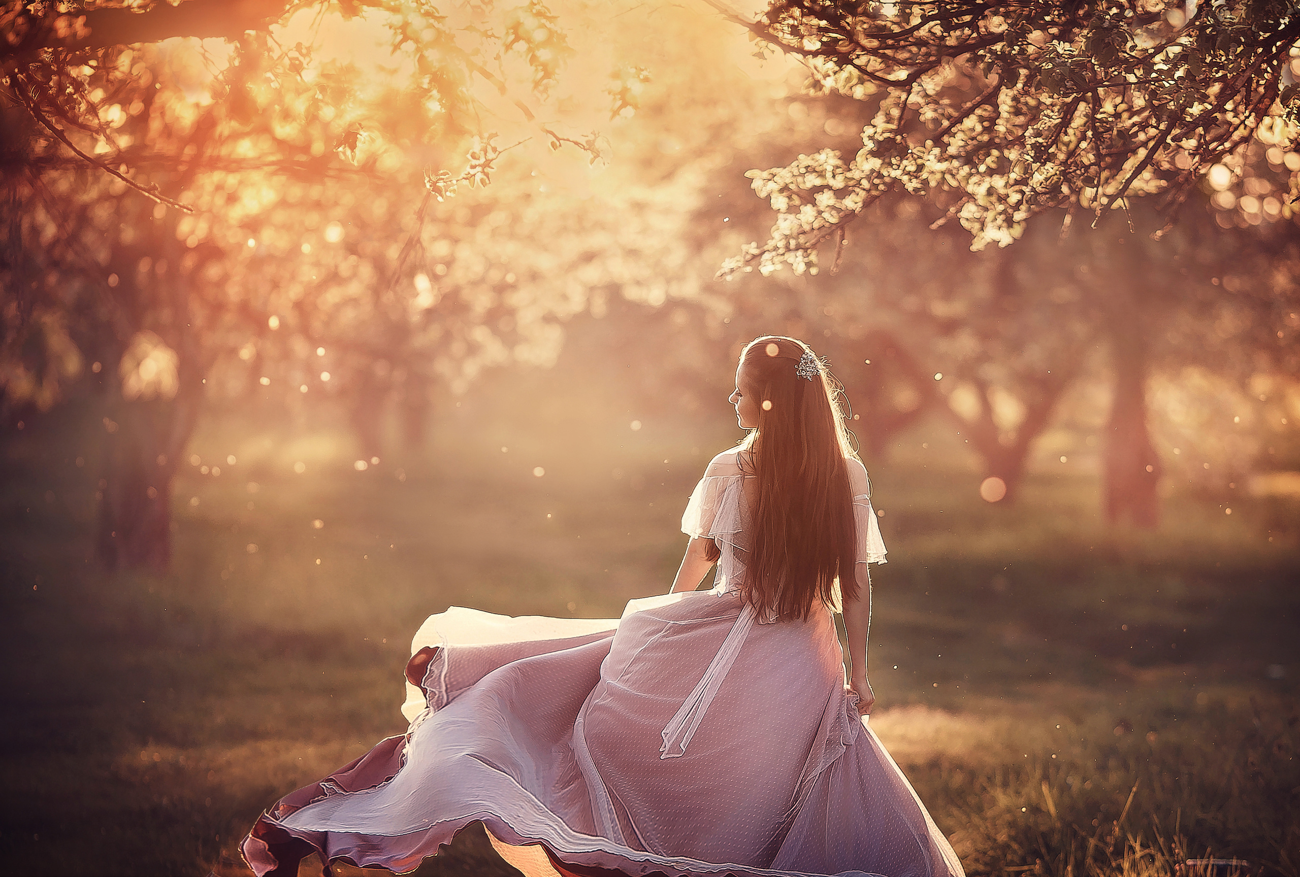 Услуги. Фотограф беременности и семейный фотограф в Могилеве, Минске Елена Шин