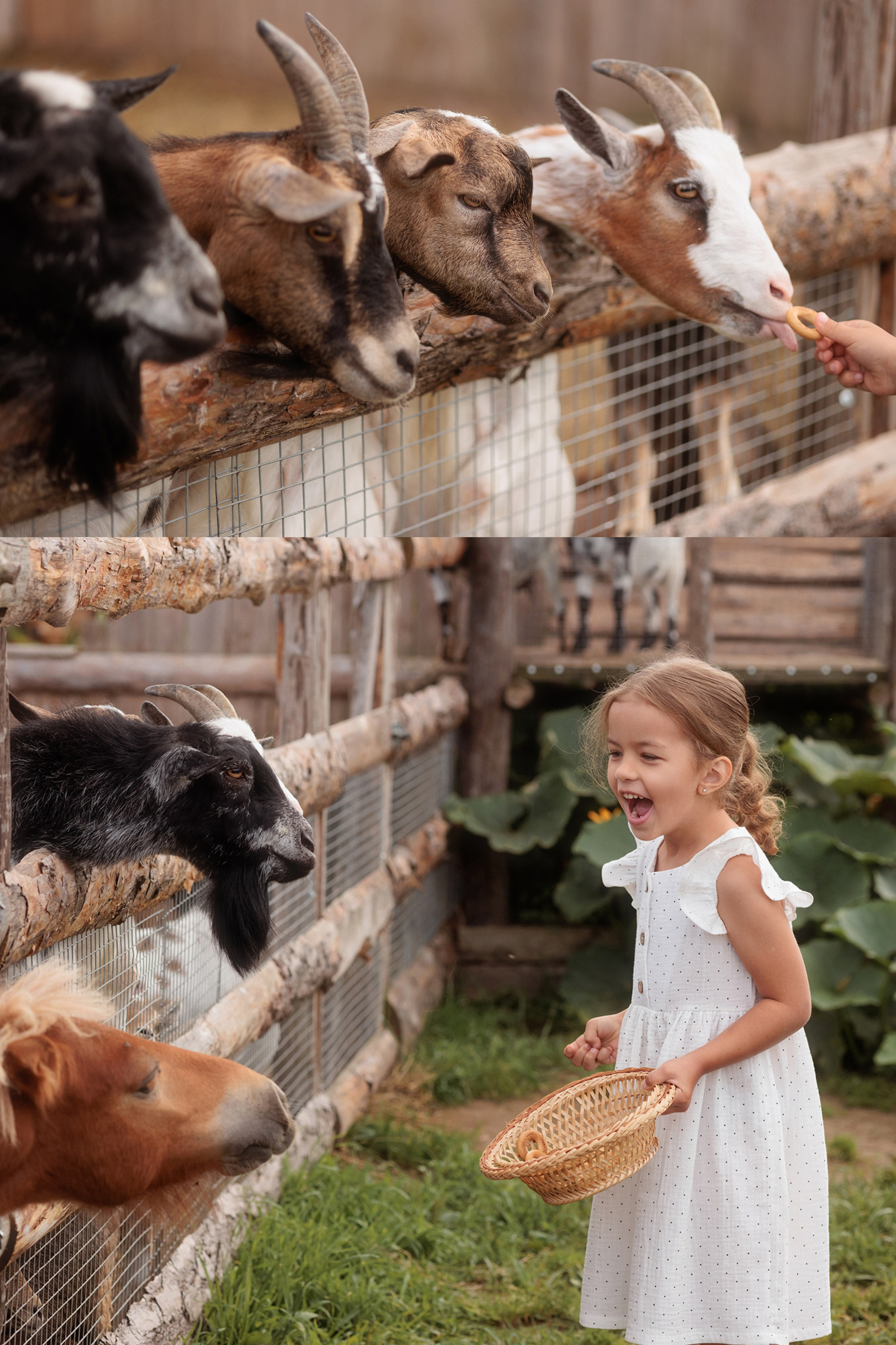 Фотограф Александр Калинин