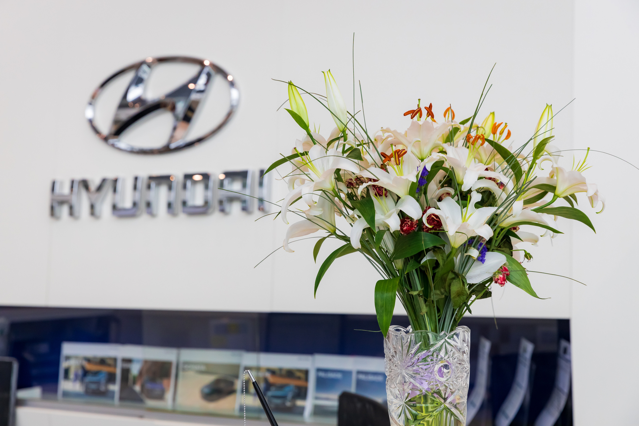 Интерьеры, Контент, Портреты | Фотограф в Москве Дани Терно