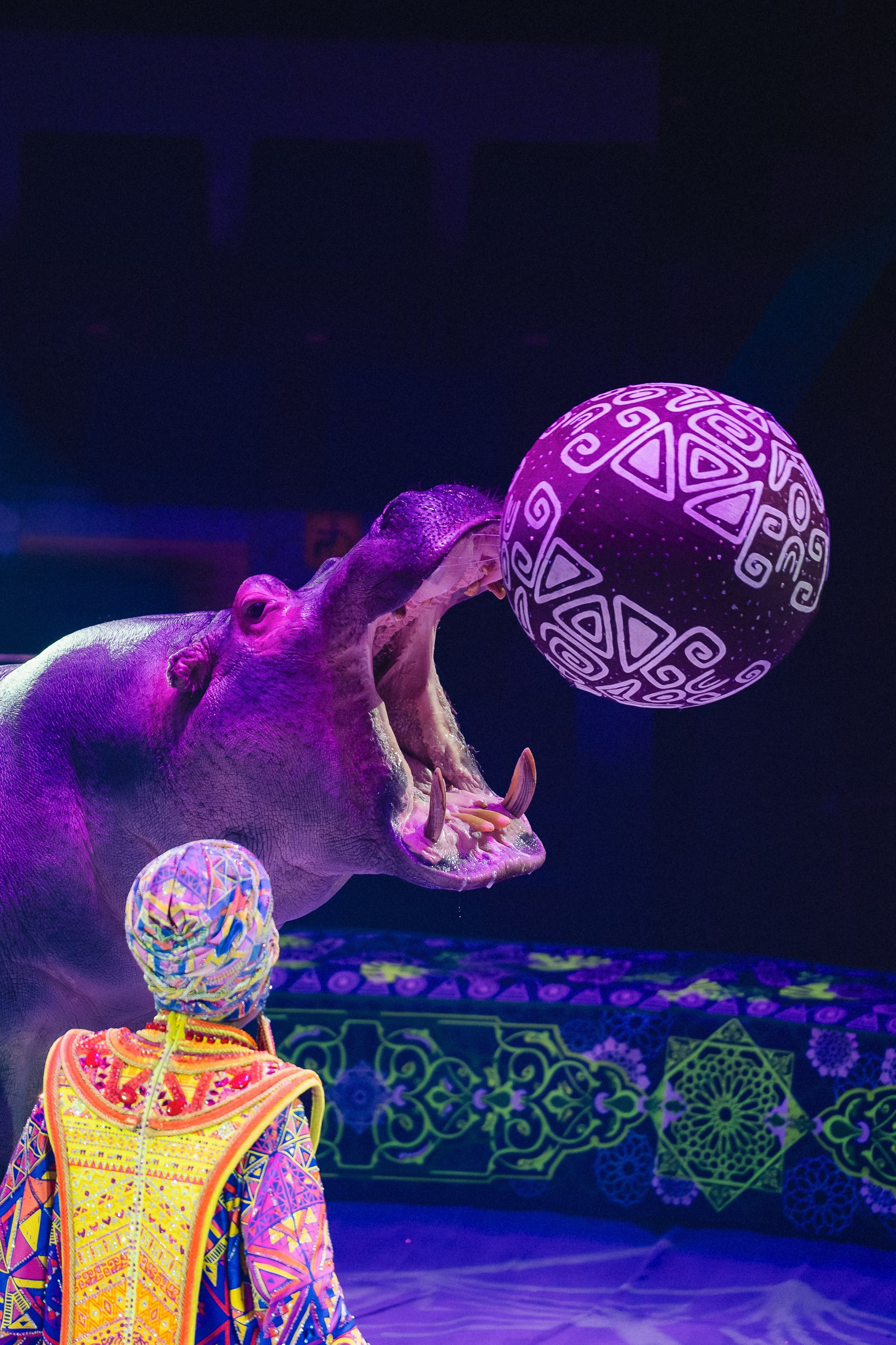 Пресс-показ шоу «Песчаная Сказка». Воробьева Ксения — Спортивный и танцевальный фотограф Новосибирск