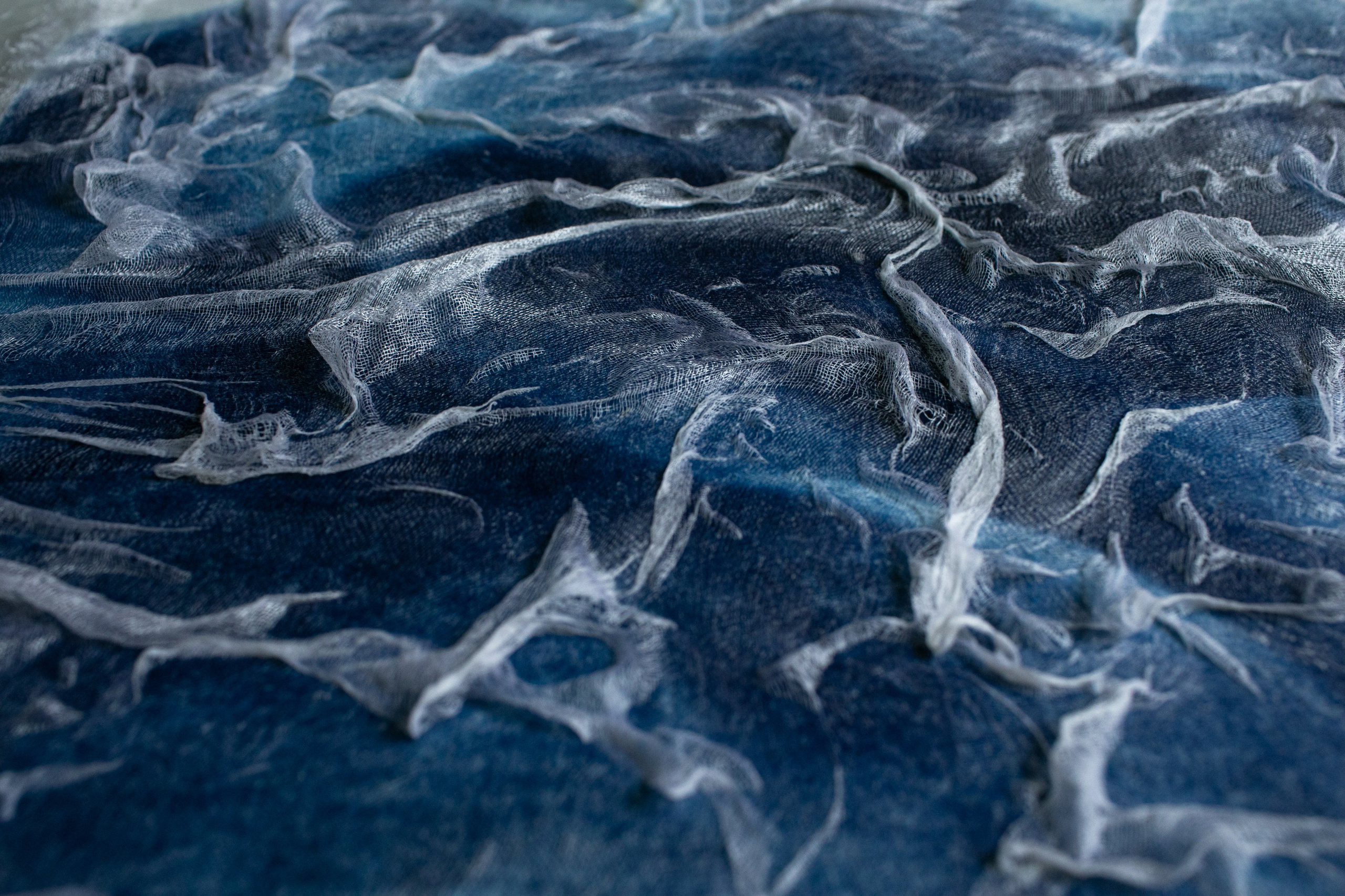 CYANOTYPE. CONTEMPORARY ARTIST OLGA ANDRIYASH