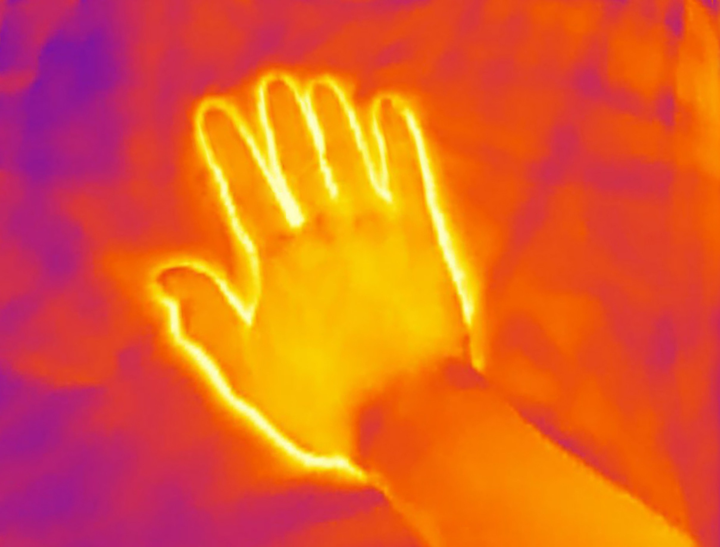 Тепловой след / Heat trace. Visual artist Olga Burmistrova