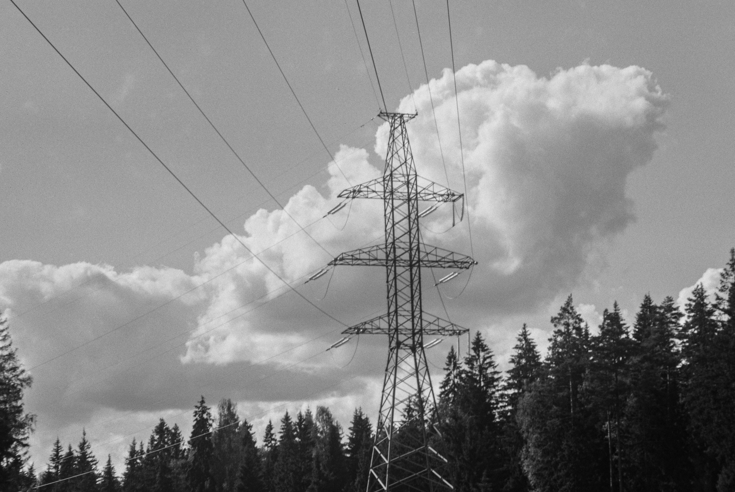 Zeiss Ikon Super Ikonta