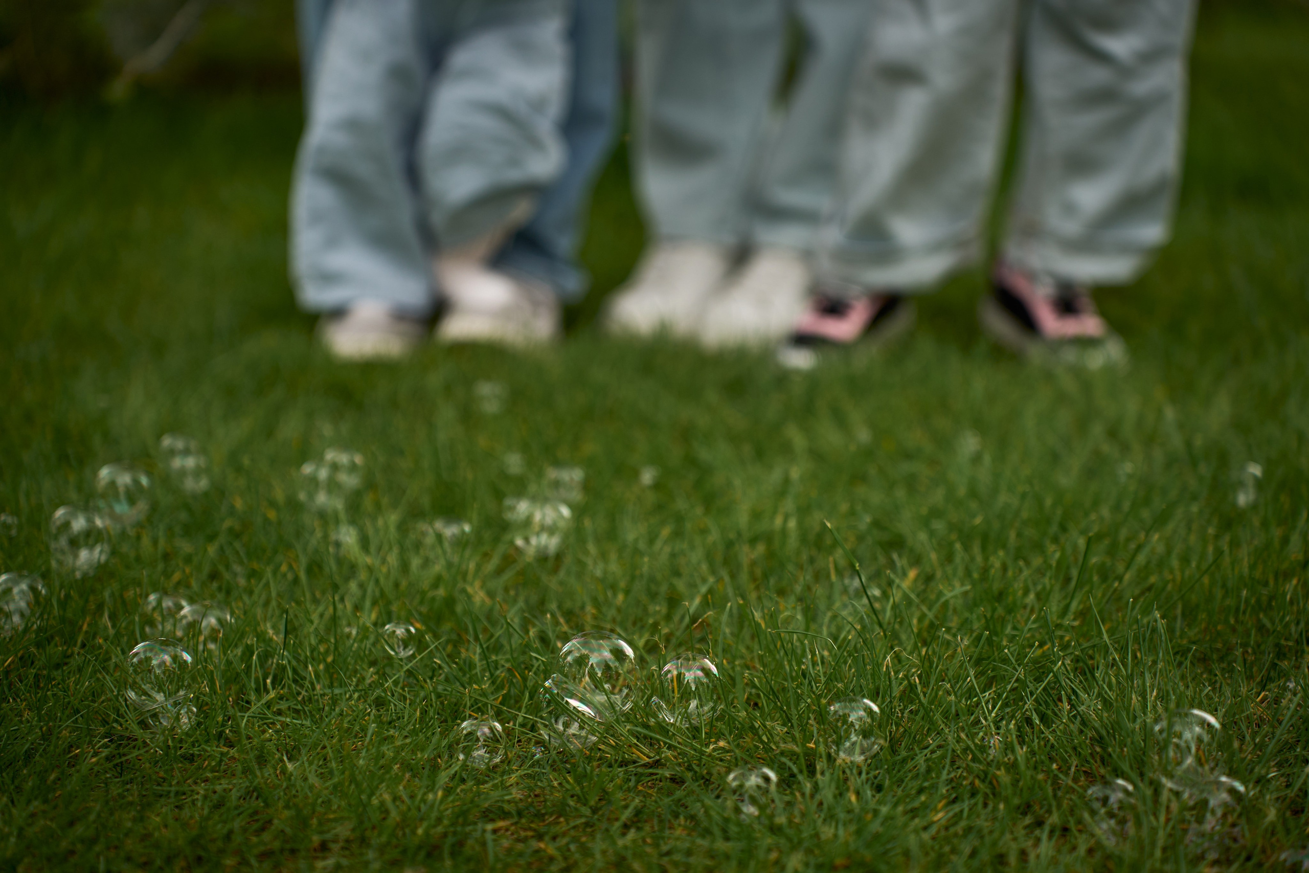 ВЕСНА В ПАРКЕ ГАЛИЦКОГО. ТВИНС СТУДИО — лучшие свадебные фотографы и видеографы в Краснодаре