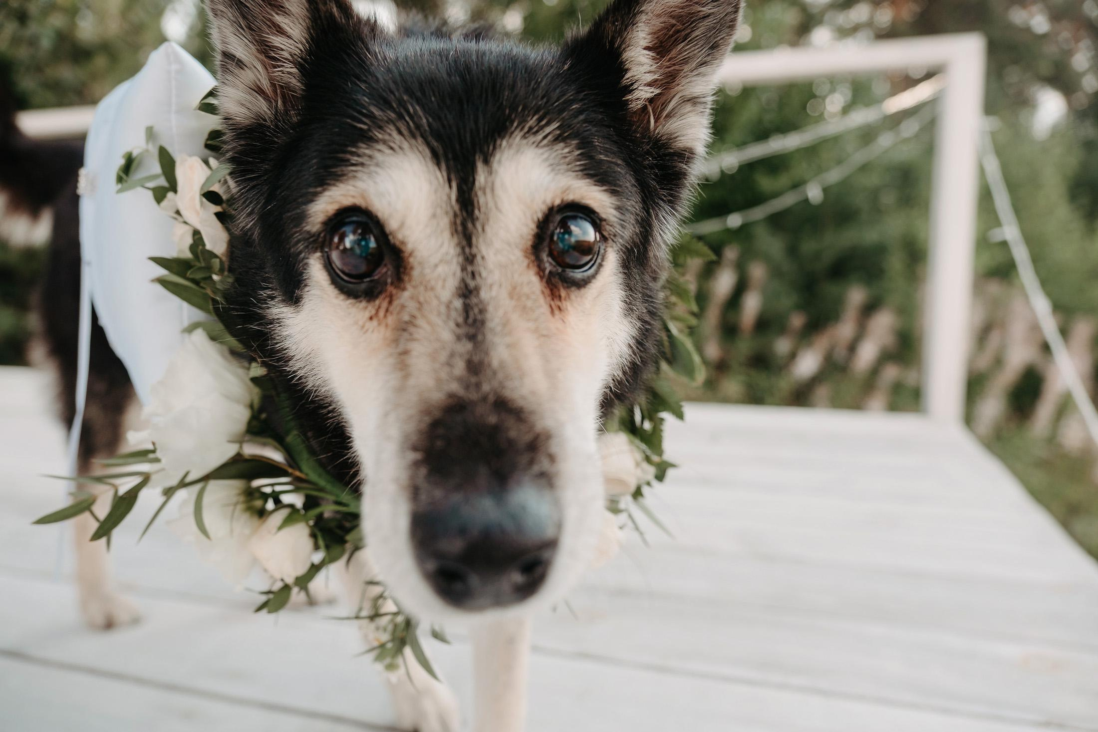 07.08 Дмитрий и Екатерина. Свадебный организатор Екатеринбург