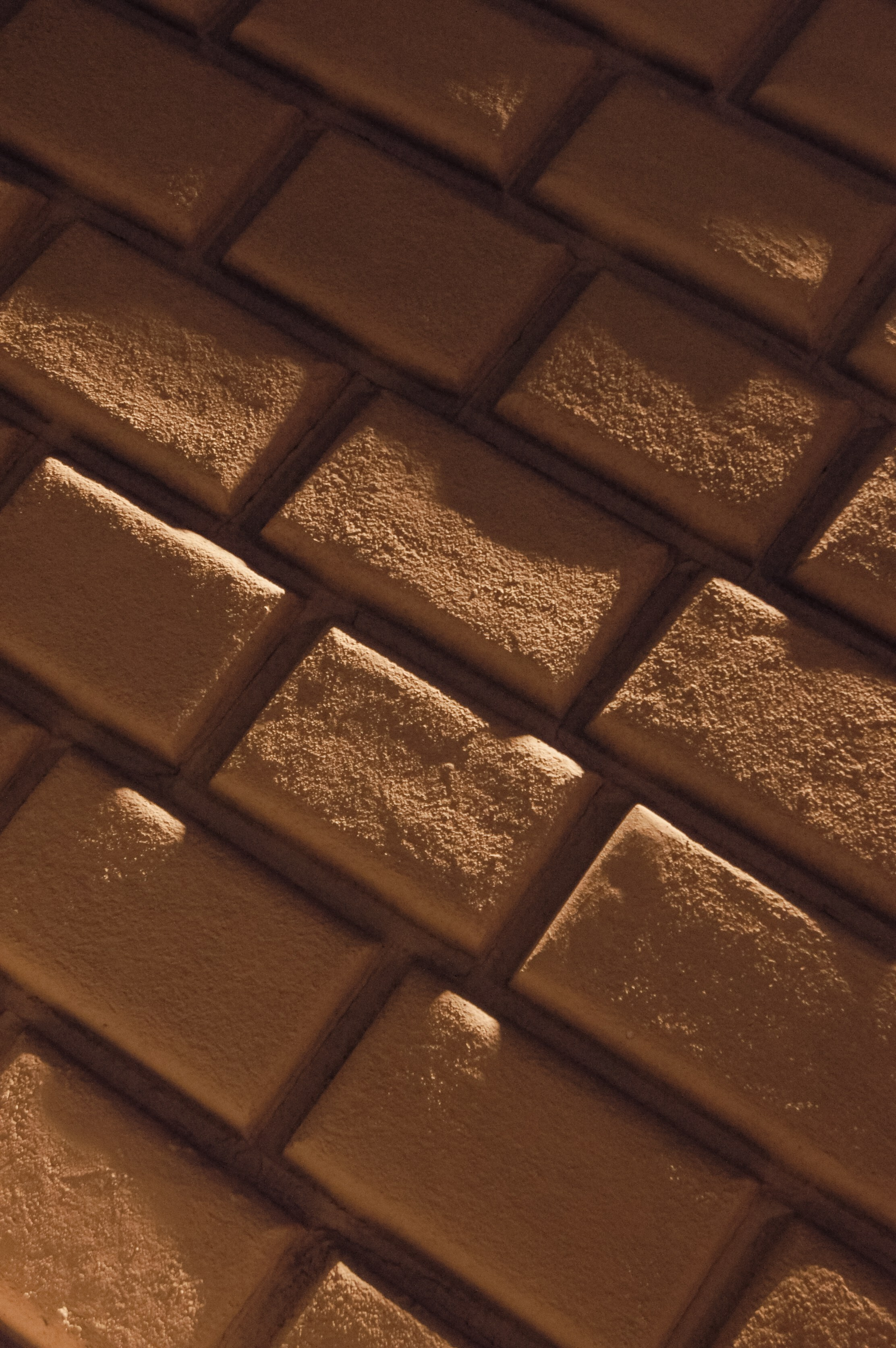 Мир вокруг: мобильная фотография — быстрая композиция. Любовь Каширская — фотограф для малого бизнеса и специалистов