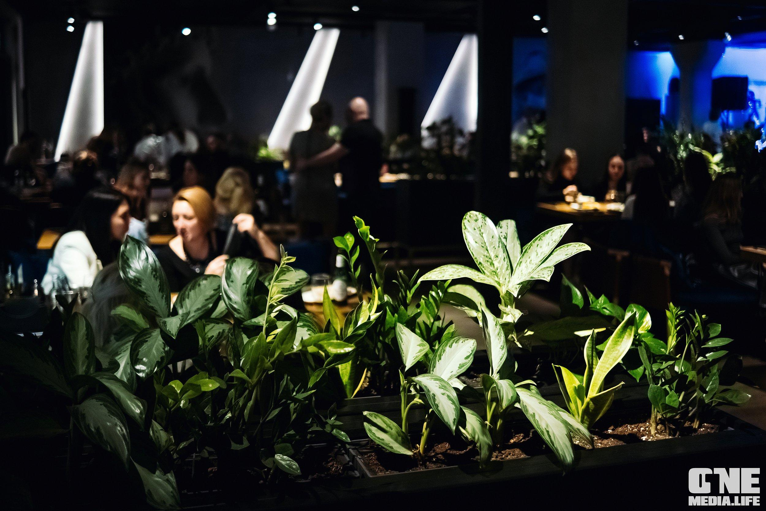 Большая греческая вечеринка в El Greco. One Media Life: фоторепортажи, фотоотчеты с мероприятий и заведений