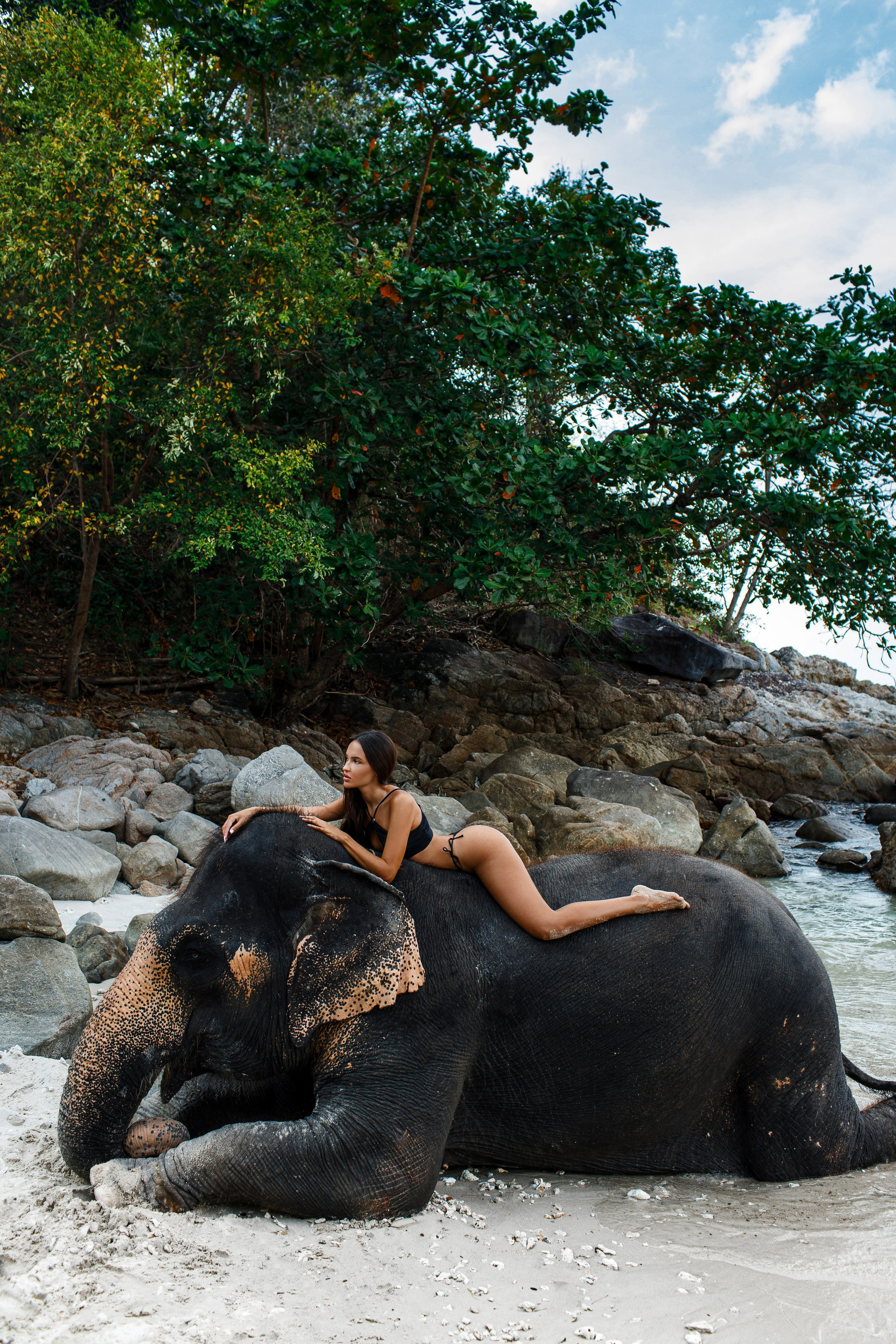 Фотосессия со слонами на Пхукете. Фотограф на Пхукете в Таиланде