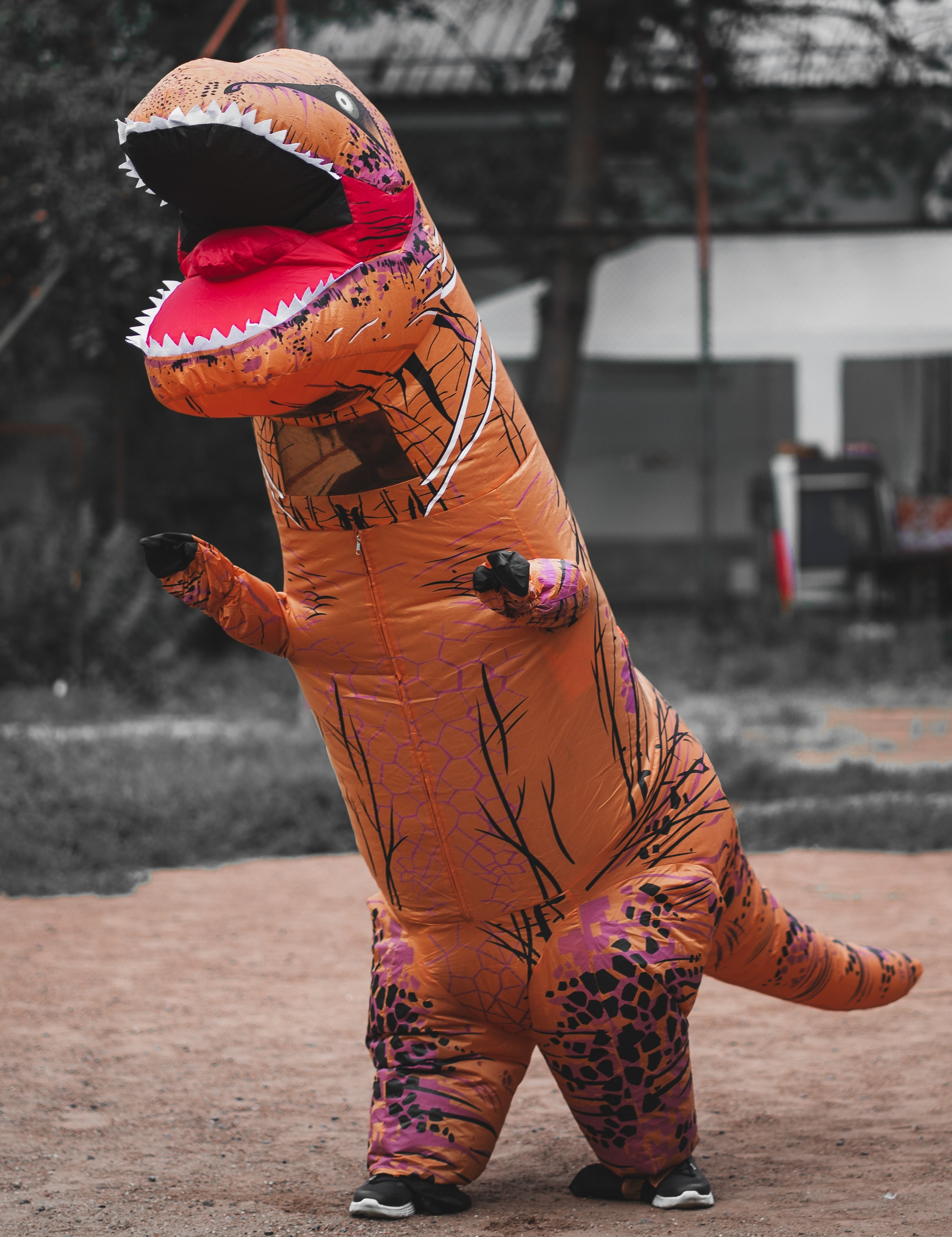 Фотограф Антон Белоусов