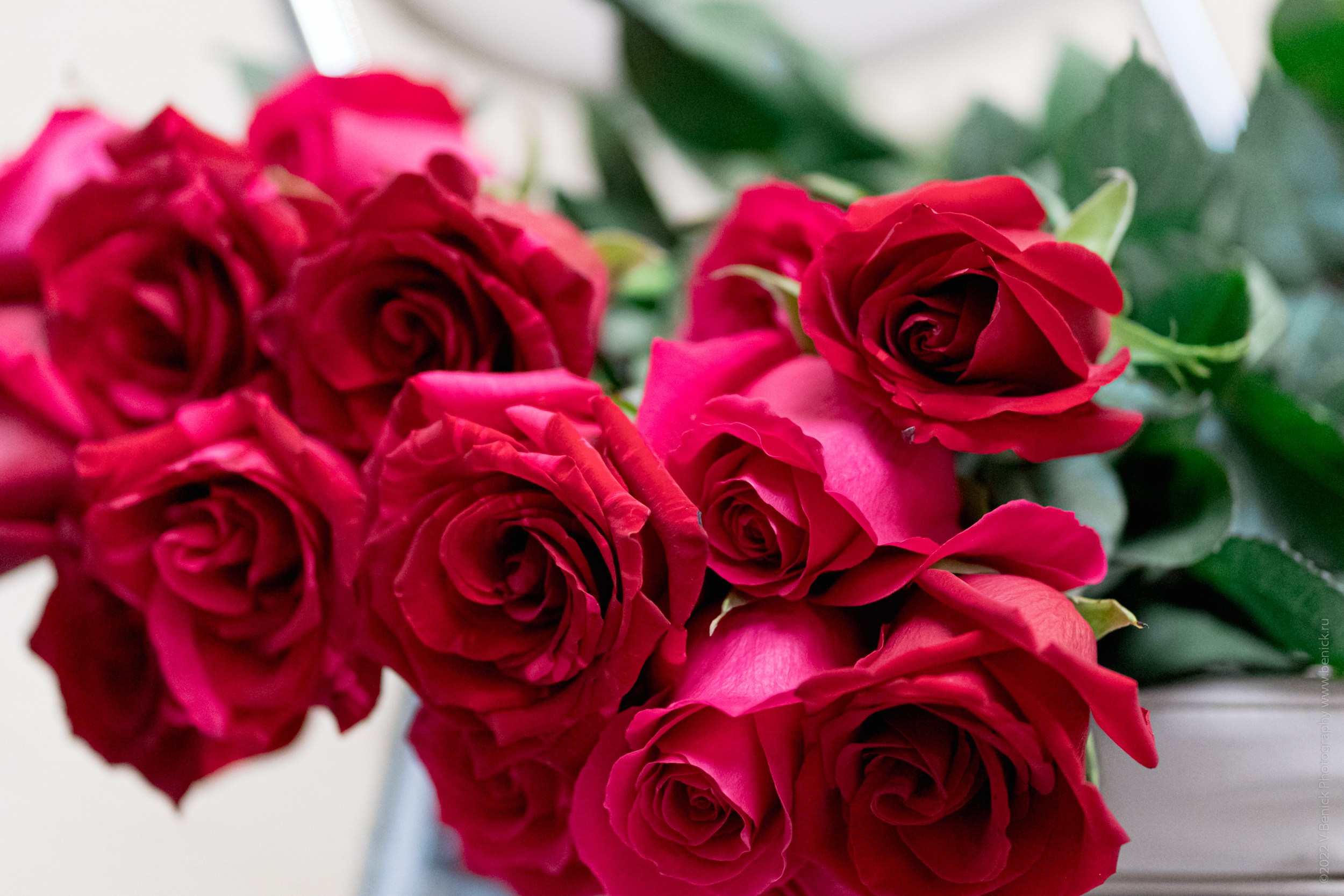 Репортажная фотосессия в г. Севастополь для СГАХ. «СПО: как это было. Начало»». Виктория Беник