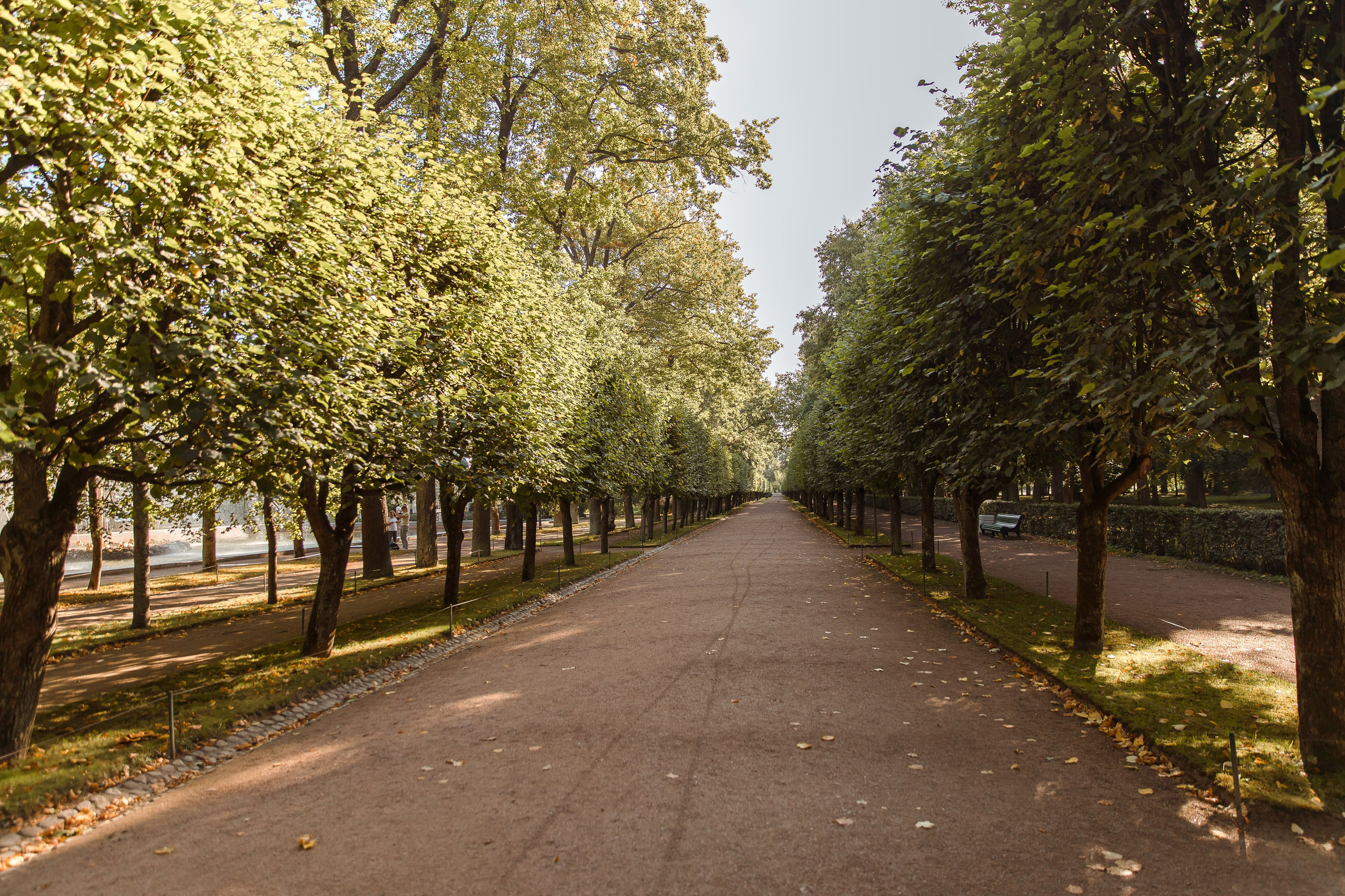 Санкт-Петербург, Питергоф осень 2023. Семейный и детский фотограф в Железногорске Саламахо Ольга
