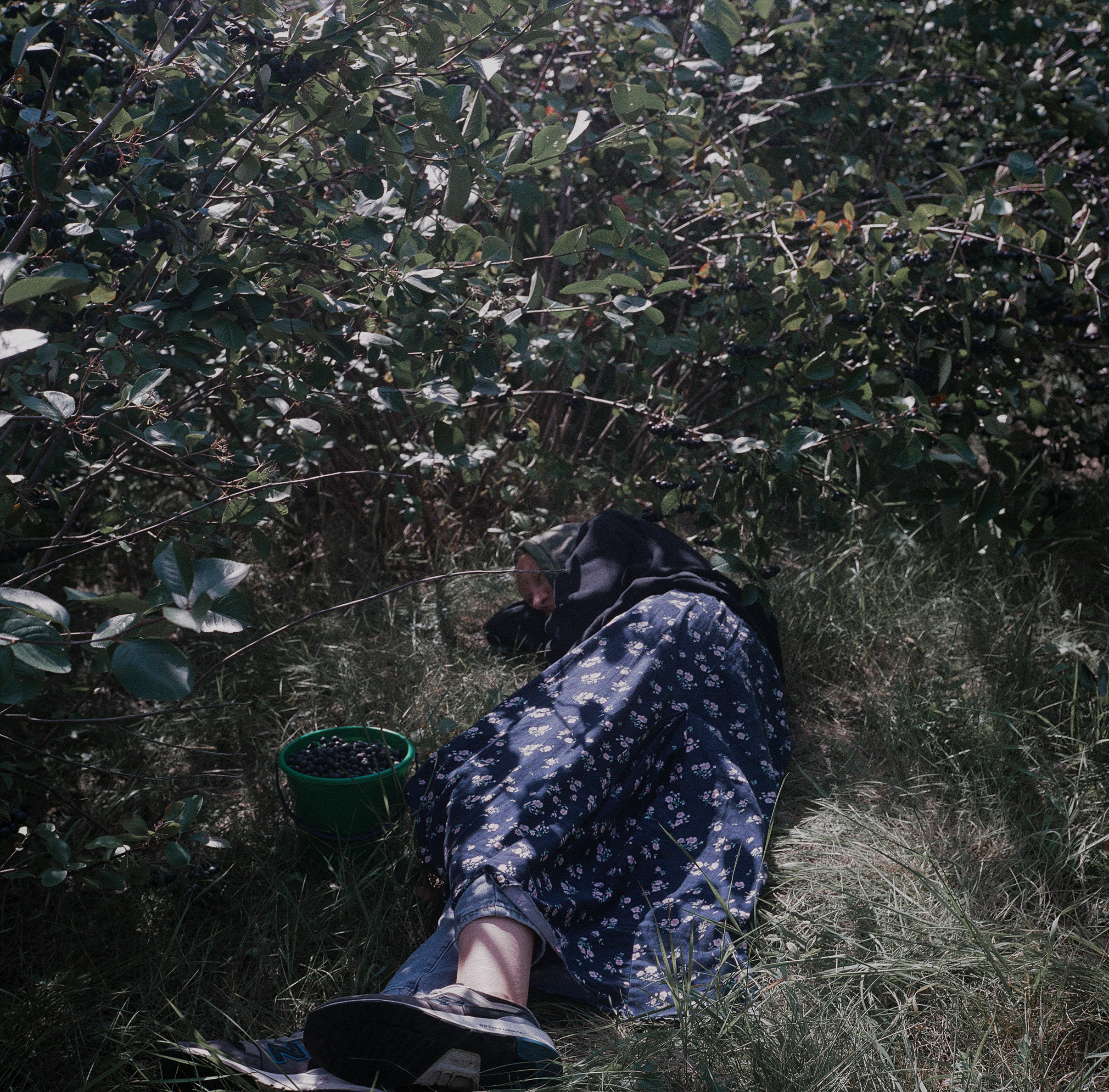 Варварина пустынь. Надежда Крылова