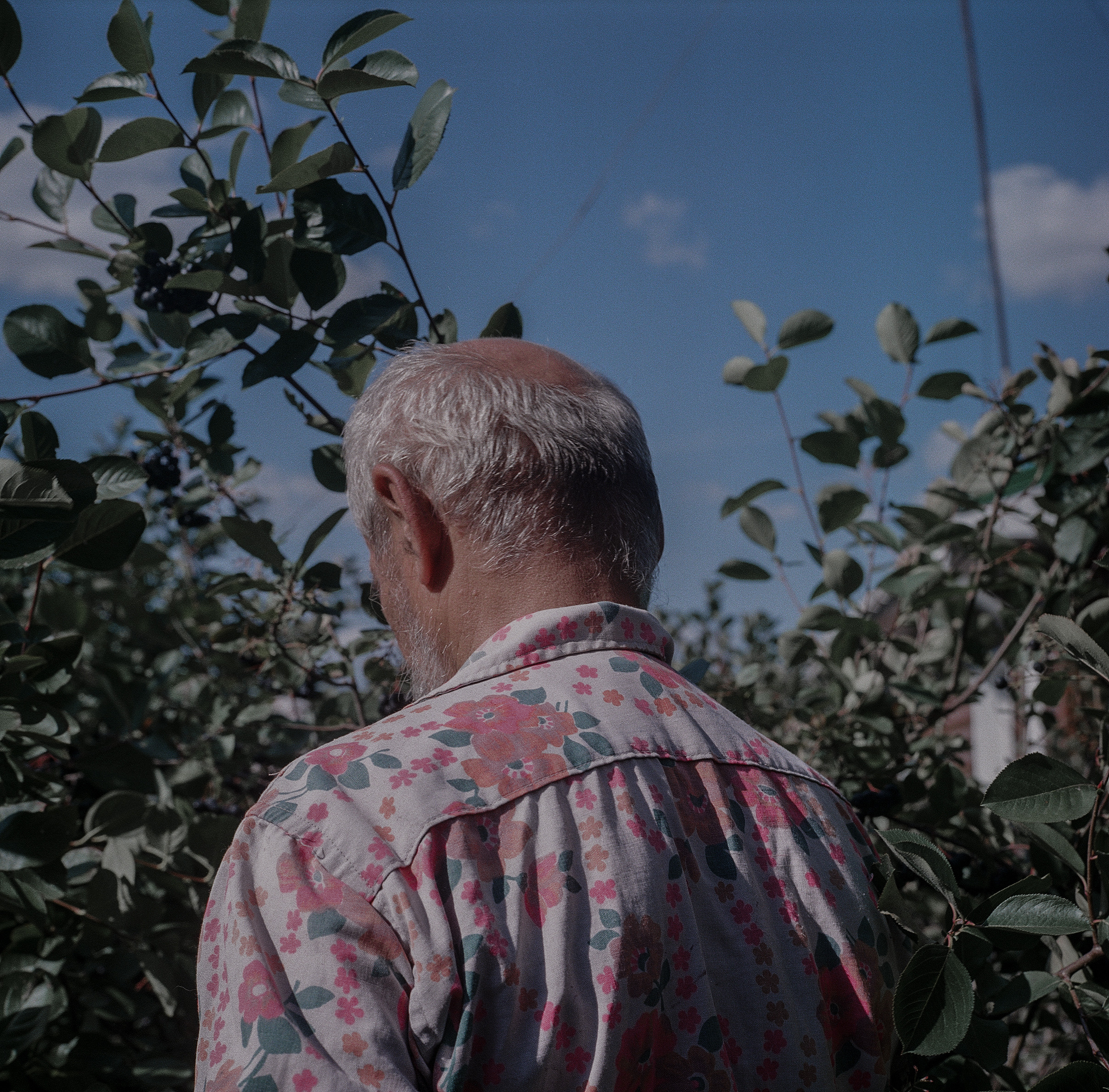 Варварина пустынь. Надежда Крылова