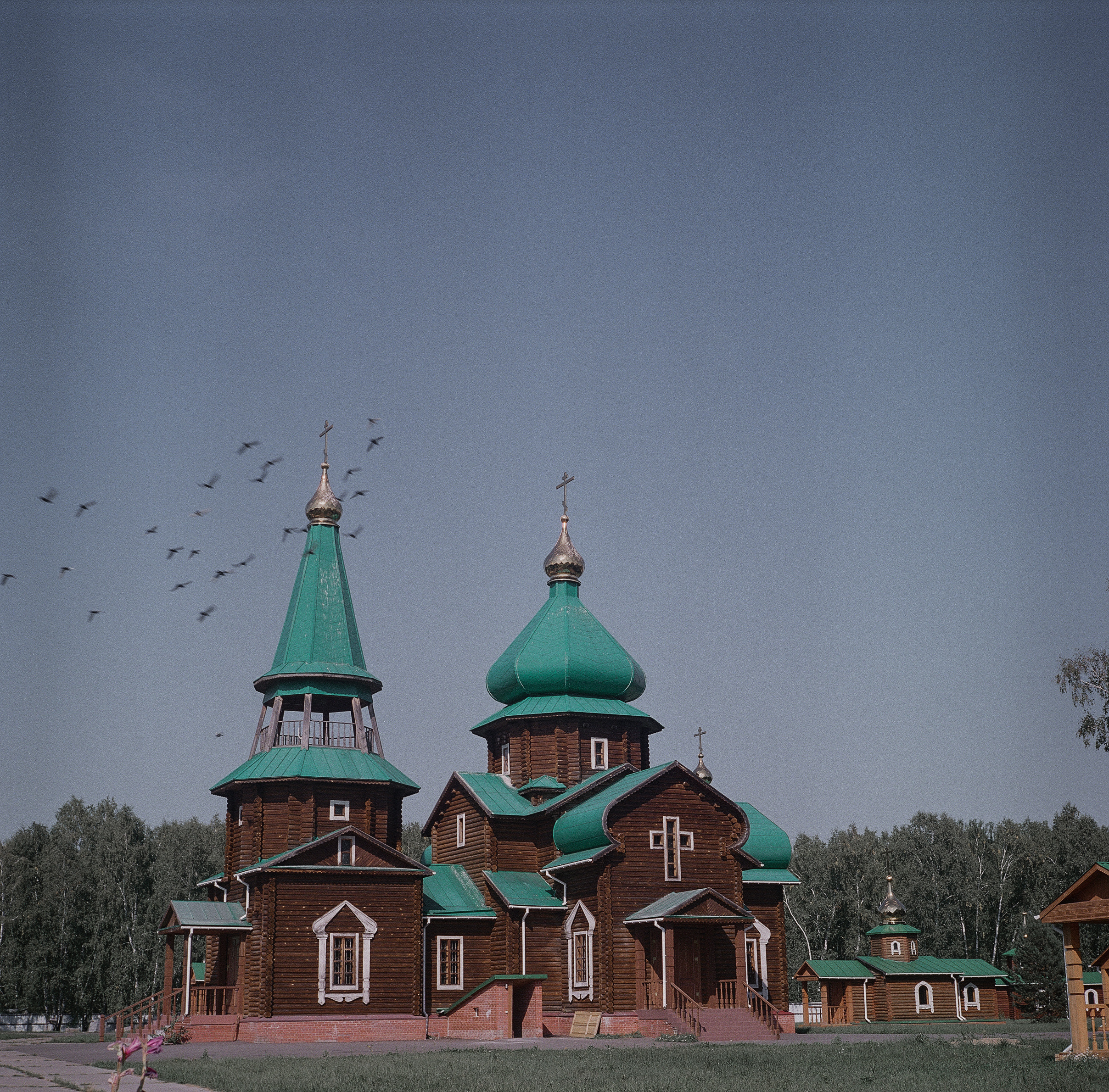 Варварина пустынь. Надежда Крылова