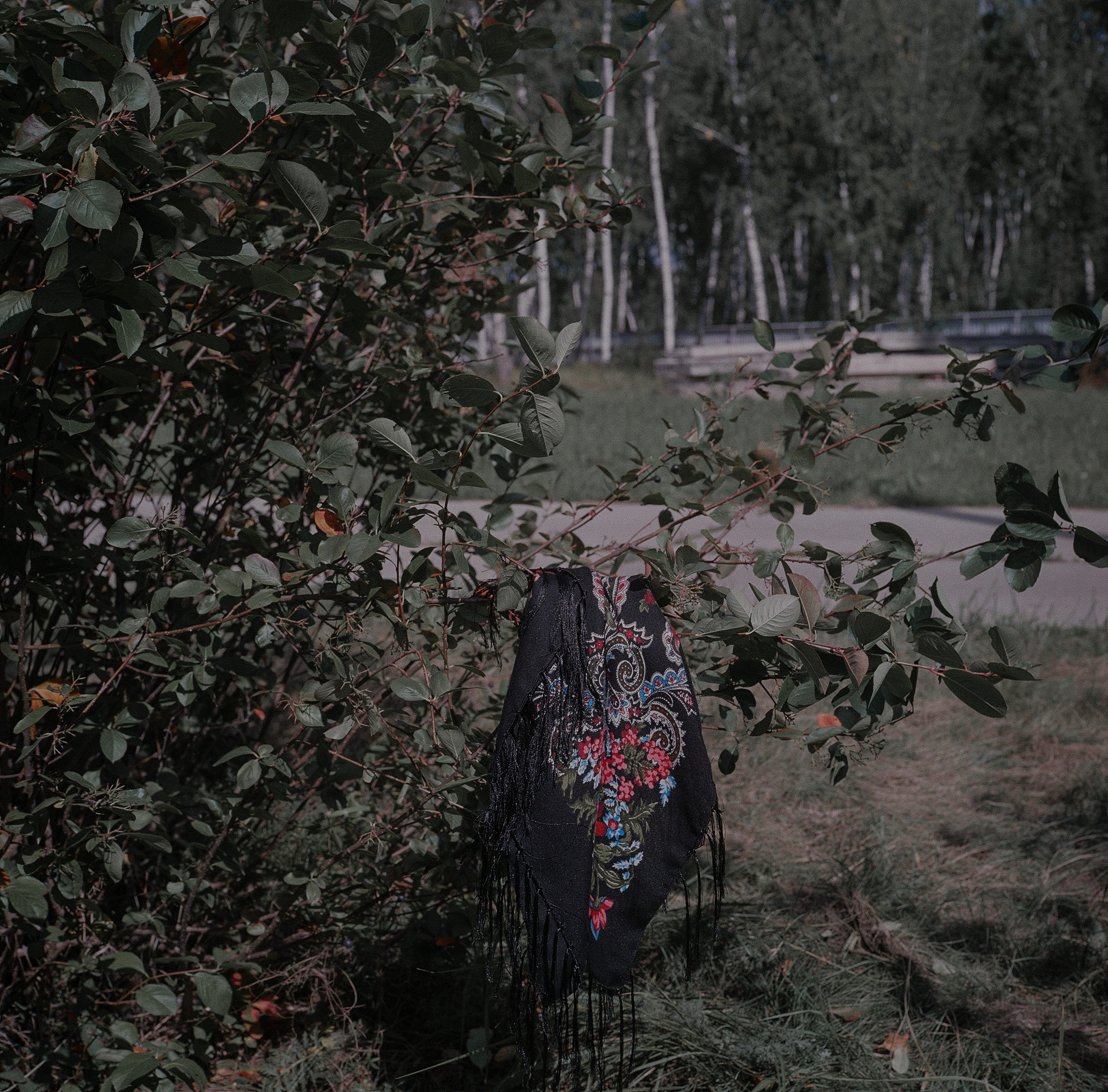 Варварина пустынь. Надежда Крылова