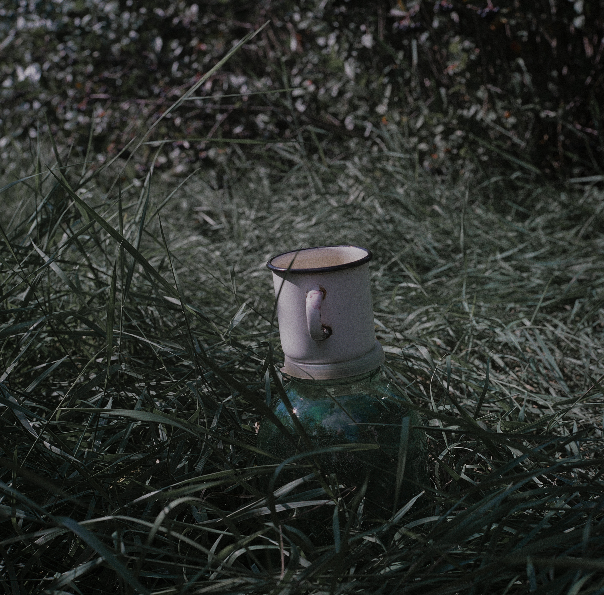 Варварина пустынь. Надежда Крылова